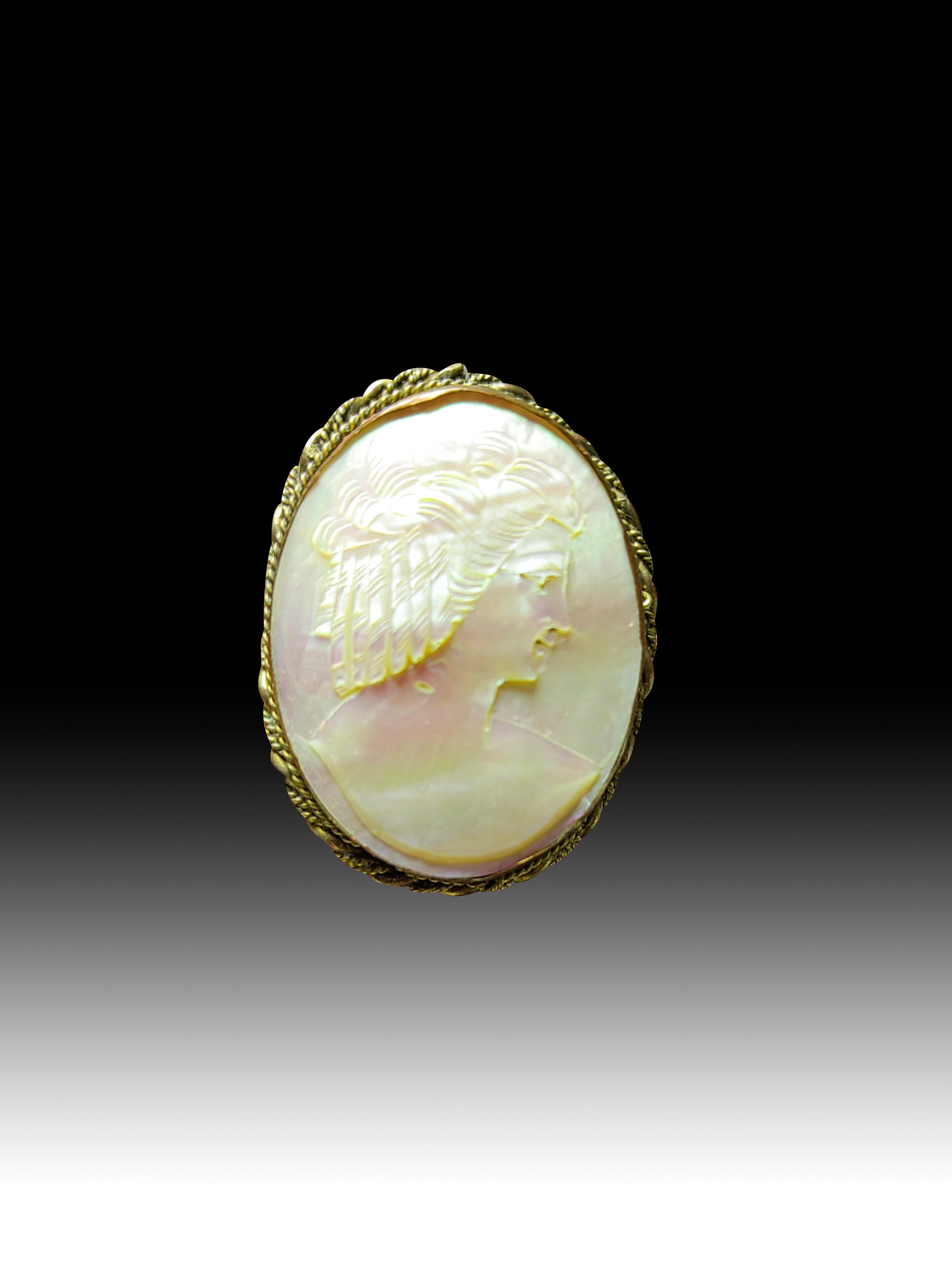 1920s Cameo
Elegant cameo from the 1920s carved in a shell and decorated with gilded brass.Dimensions:4x3x0.5 cm