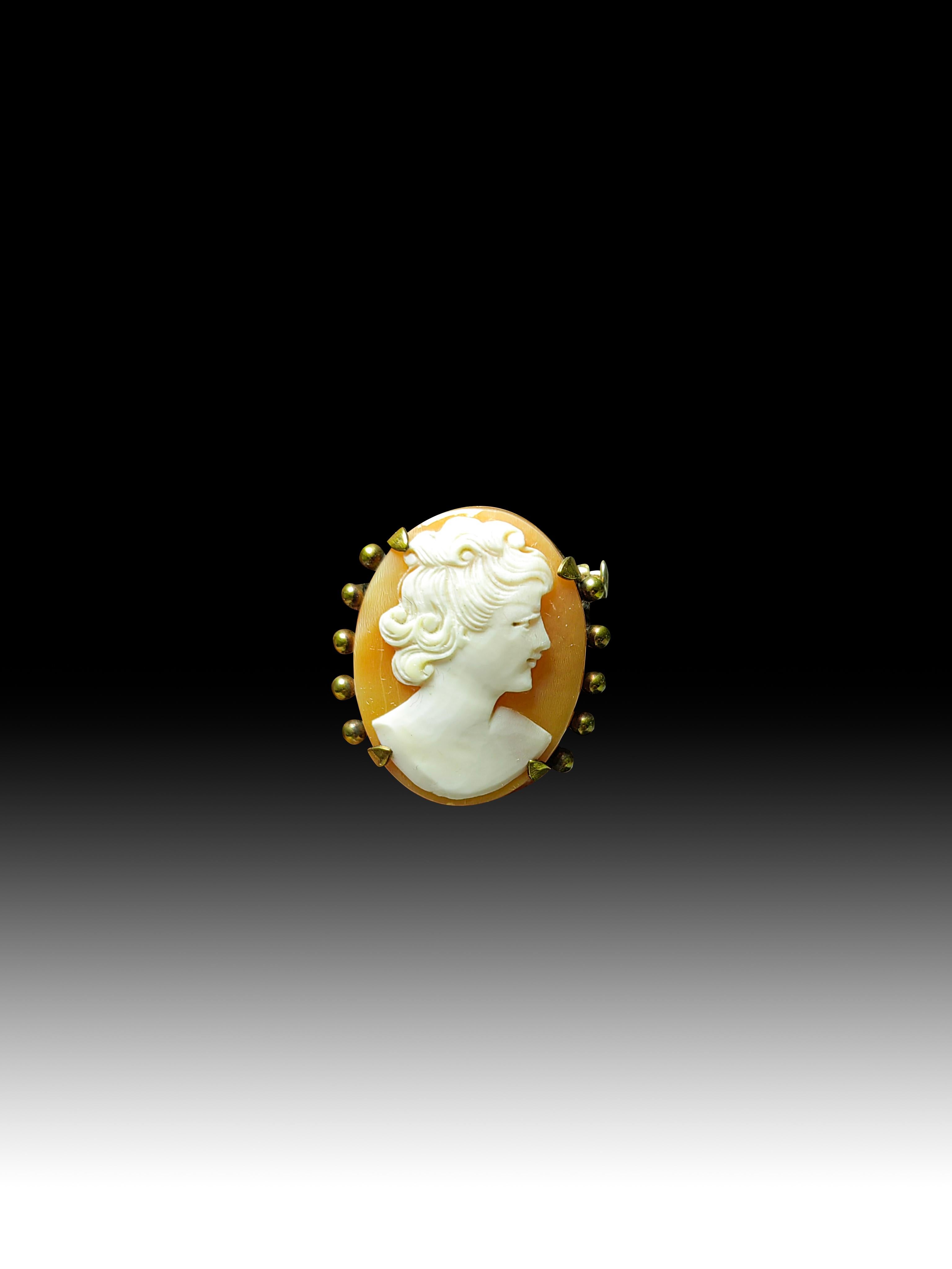 1920s Cameo
Elegant cameo from the 1920s carved in a shell and decorated with gilded brass.Dimensions:2,5x2x0.5 cm