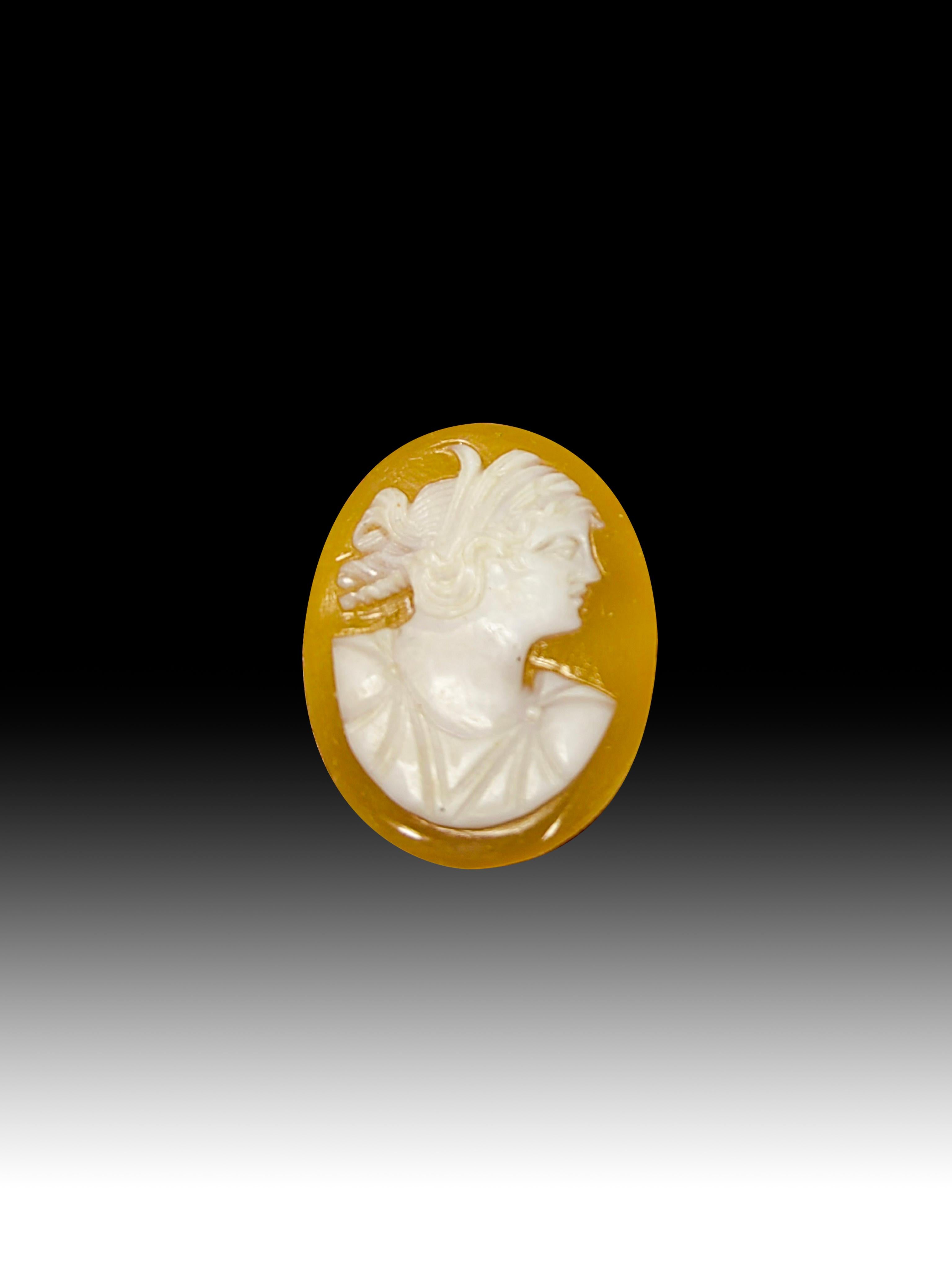 1920er Jahre Kamee
Elegante Kamee aus den 1920er Jahren, geschnitzt in einer Muschel und verziert mit vergoldetem Messing.Abmessungen:2x1,5x0,5 cm