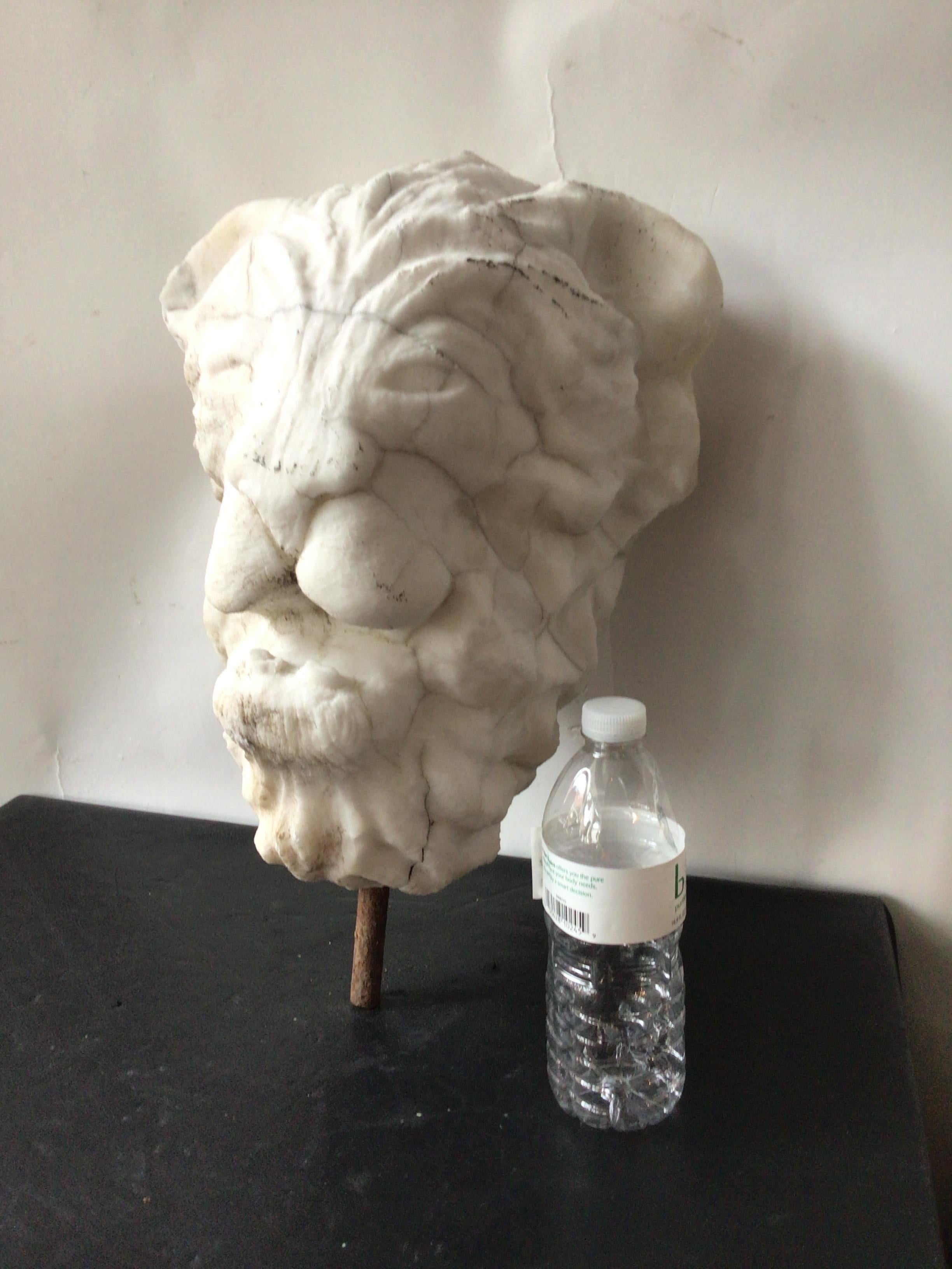 1920s Hand carved marble lion head. Needs a base.