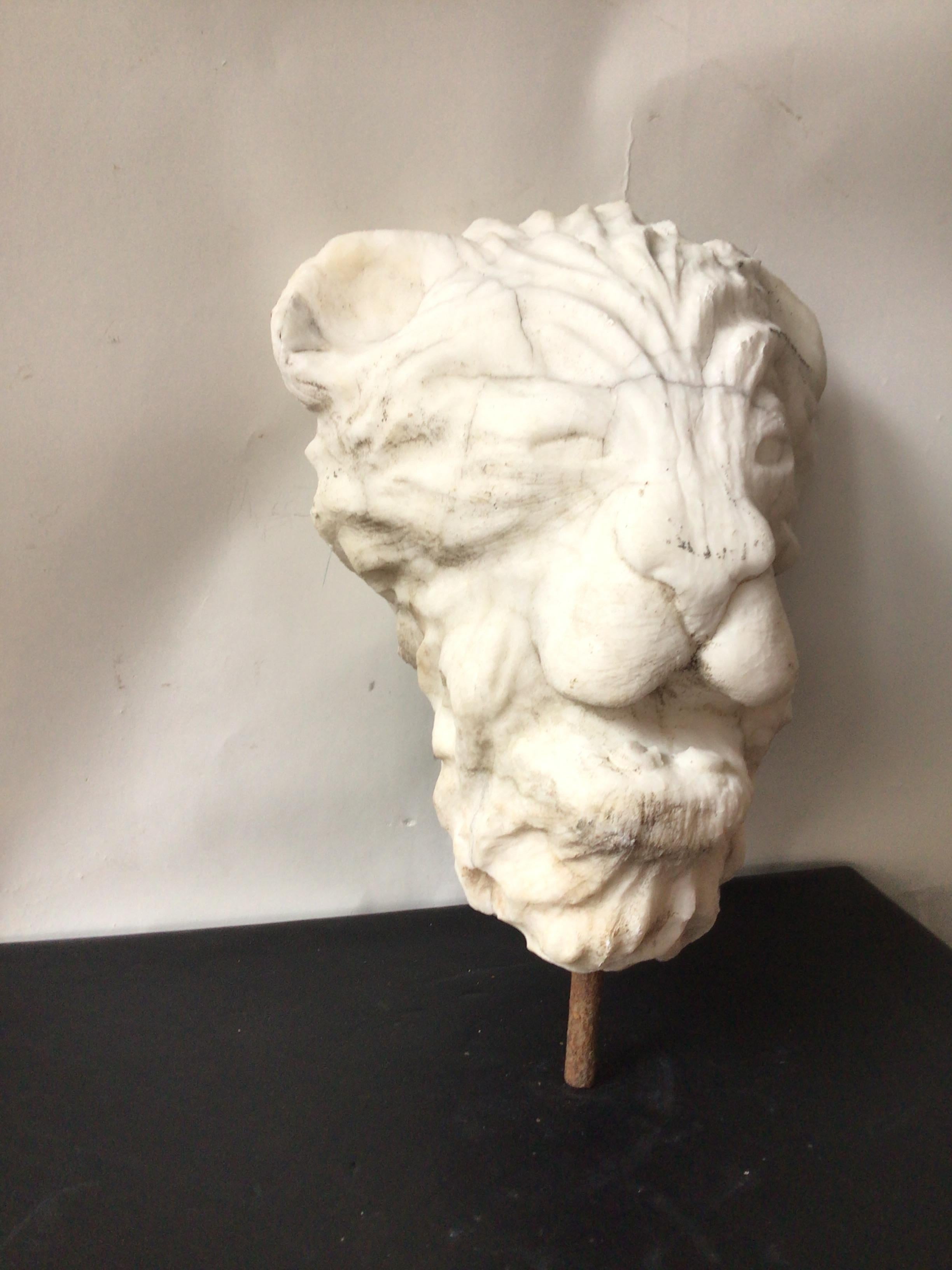 Early 20th Century 1920s Carved Marble Sculpture of Lion Head