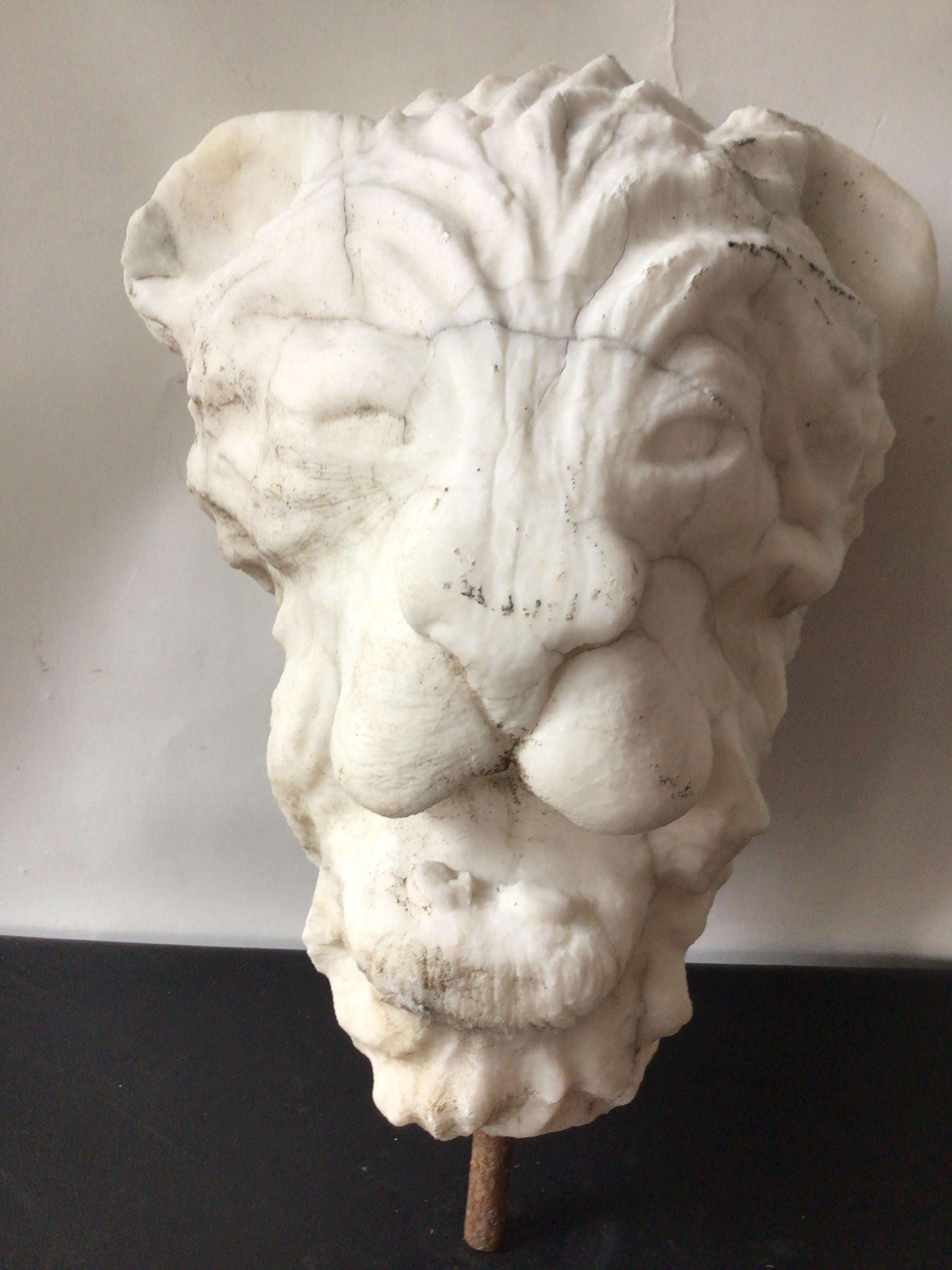 1920s Carved Marble Sculpture of Lion Head 1