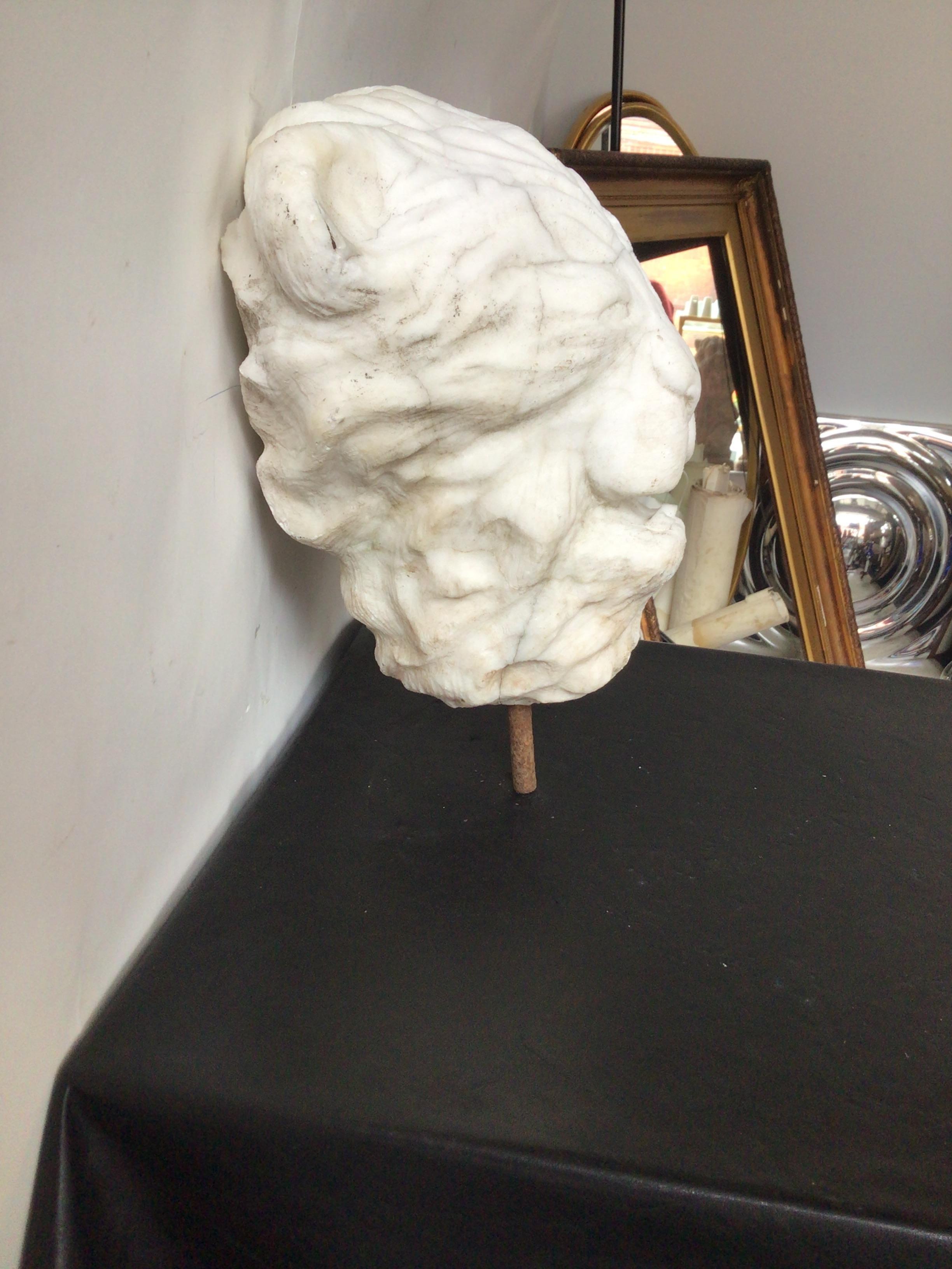 1920s Carved Marble Sculpture of Lion Head 2