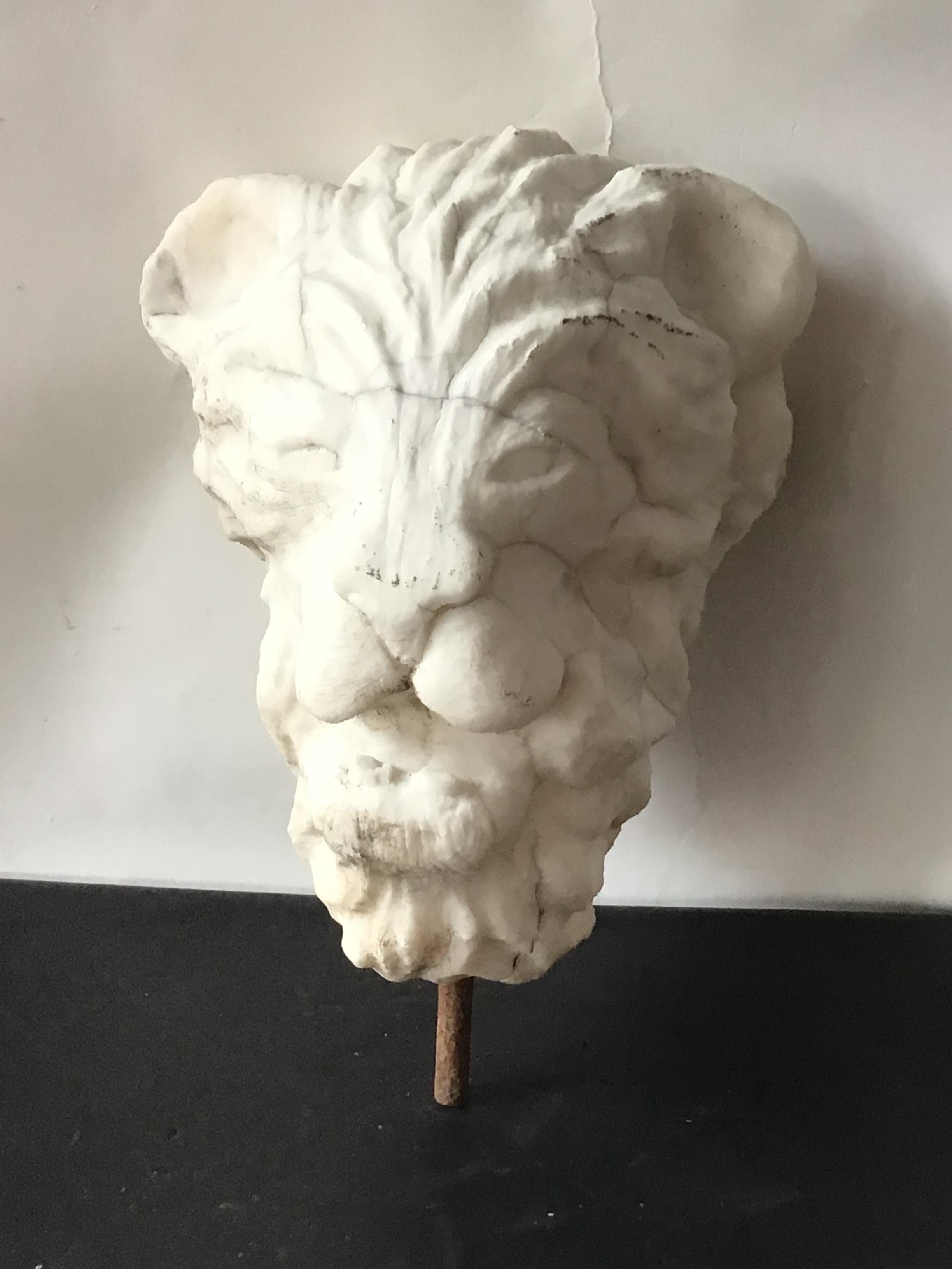 1920s Carved Marble Sculpture of Lion Head 4