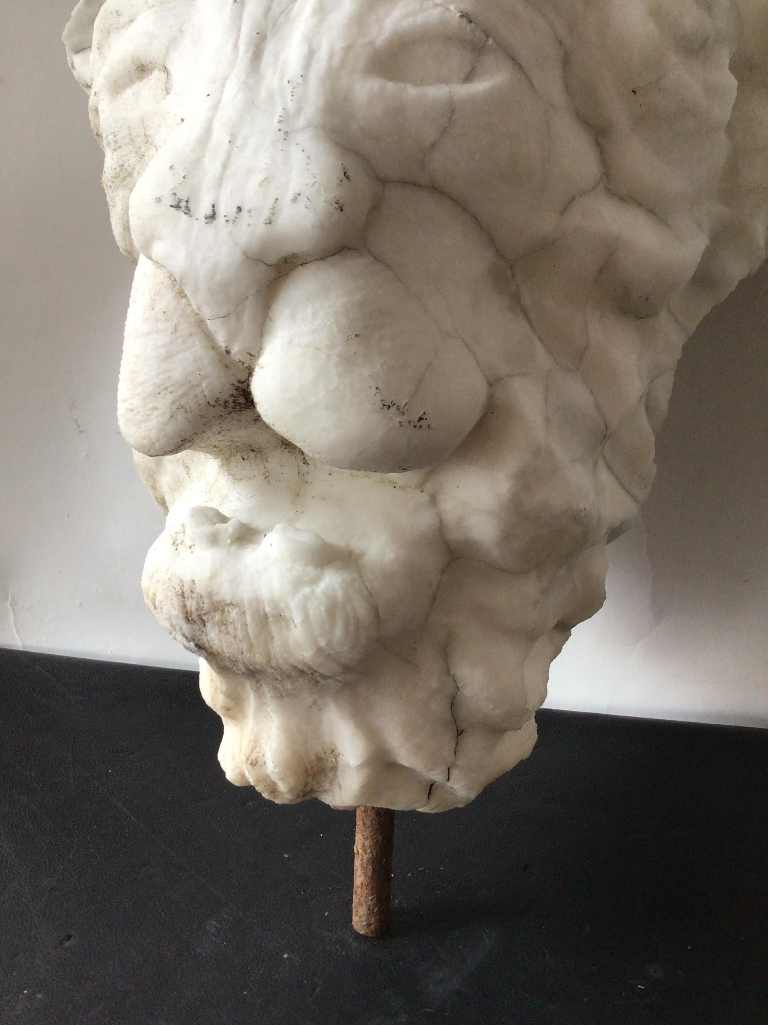 1920s Carved Marble Sculpture of Lion Head 5