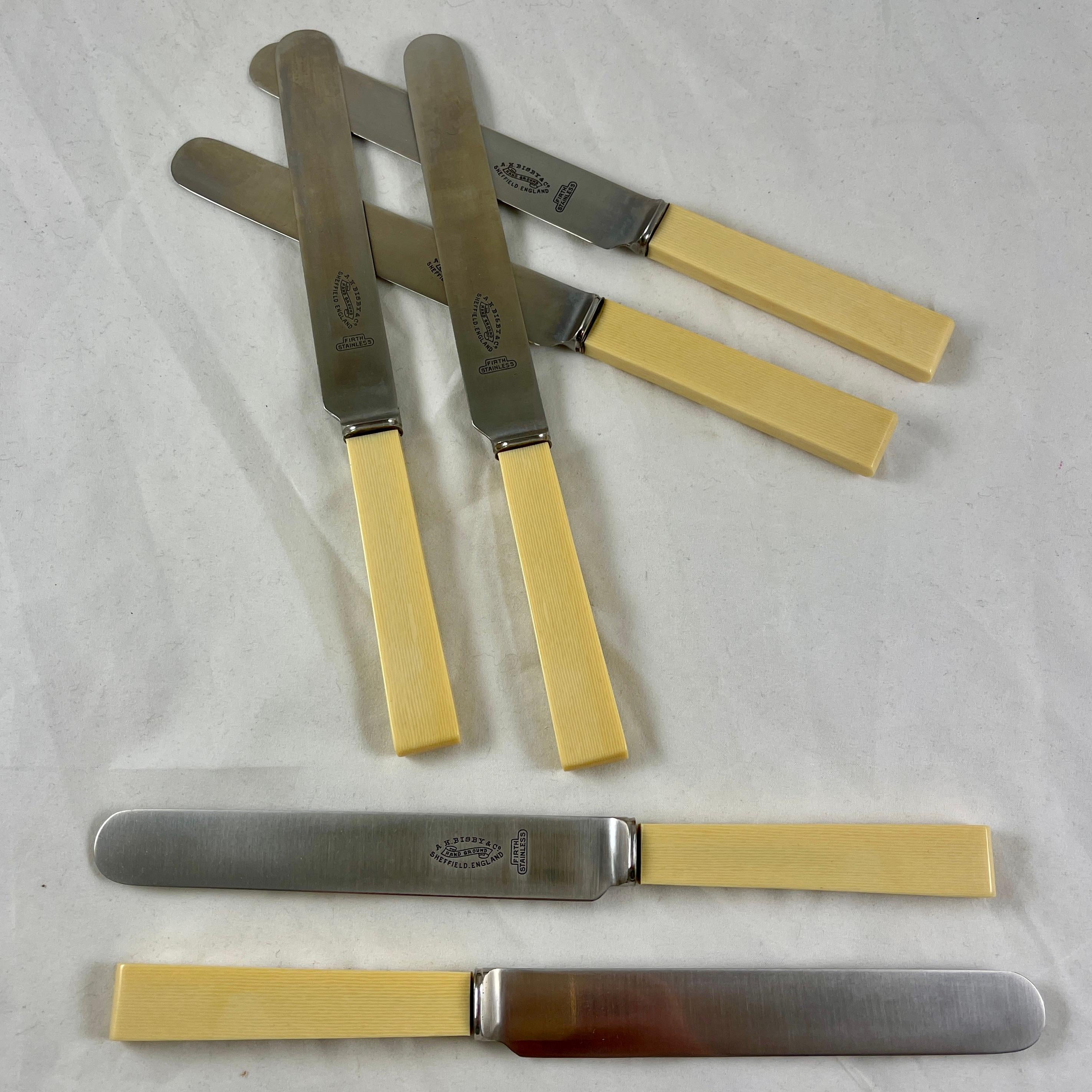 1920s English Bisby Art Deco Celluloid Ivory Handled Table Knives, Cased S/6 4