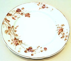 1920s English Ironstone Dinner Plates by Johnson Brothers Set of 8