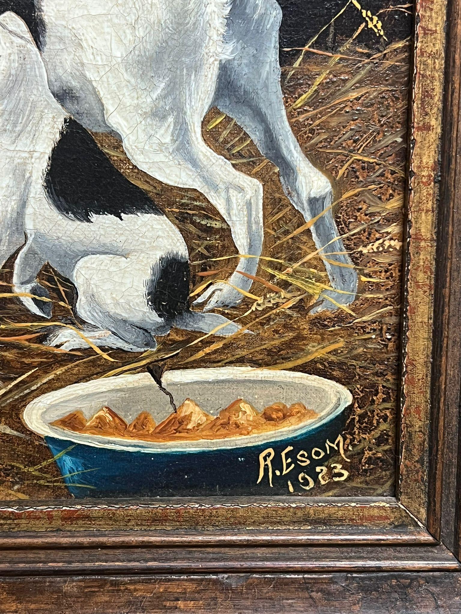 Terrier in stalla all'interno di un fienile per la cattura di ratti, dipinto a olio inglese del 1920, firmato in vendita 3
