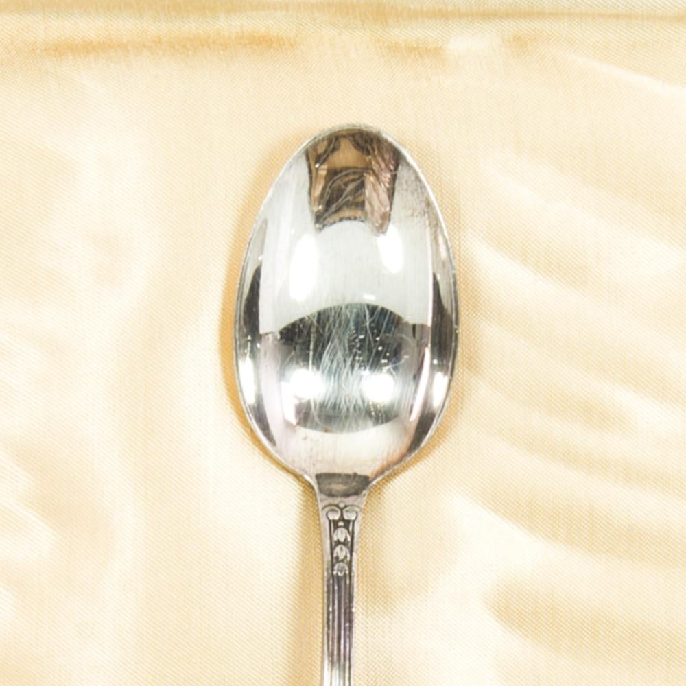 1920s European Silver-Plated Teaspoons in Box, Set of Twelve In Good Condition In High Point, NC