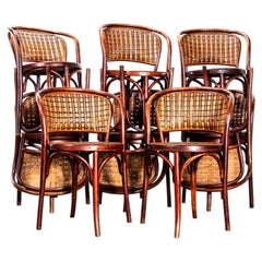 Esszimmerstühle aus gebogenem Holz und gespaltenem Rattan von Fischel aus den 1920er Jahren