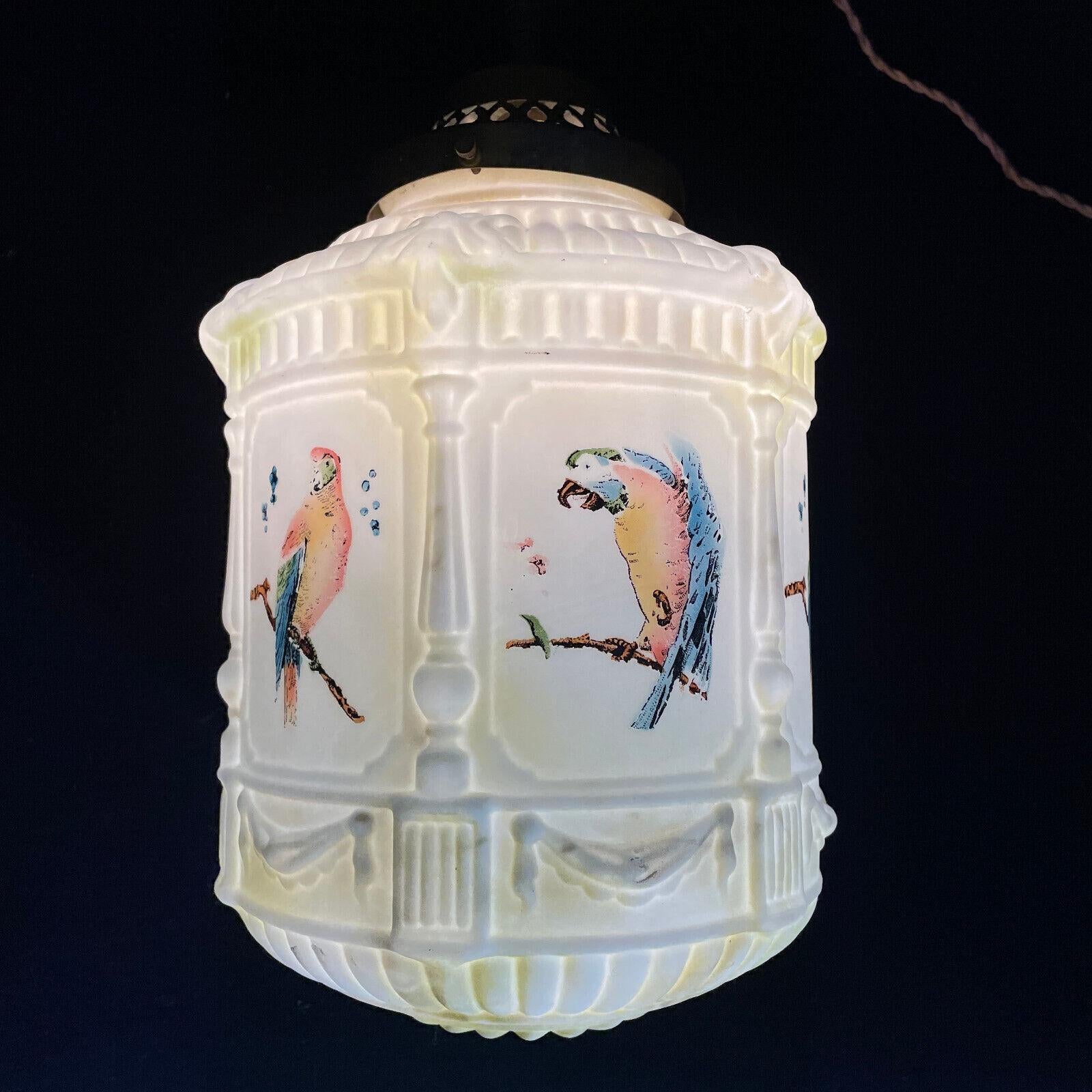 Early 20th Century 1920's French Art Deco Opaline Art Glass with Painted Parrot Panelled Lantern For Sale