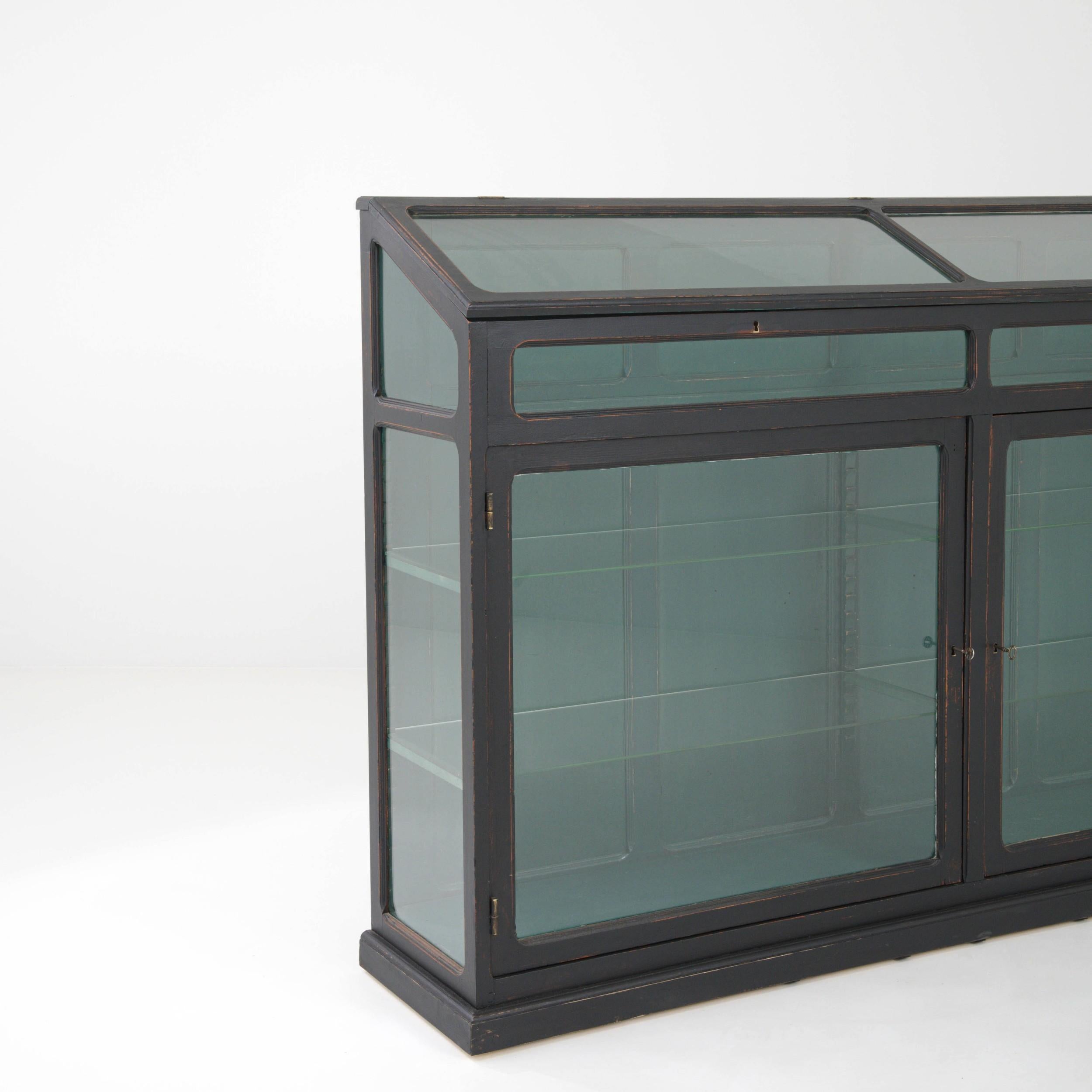 1920s French Black Patinated Wooden Vitrine 4
