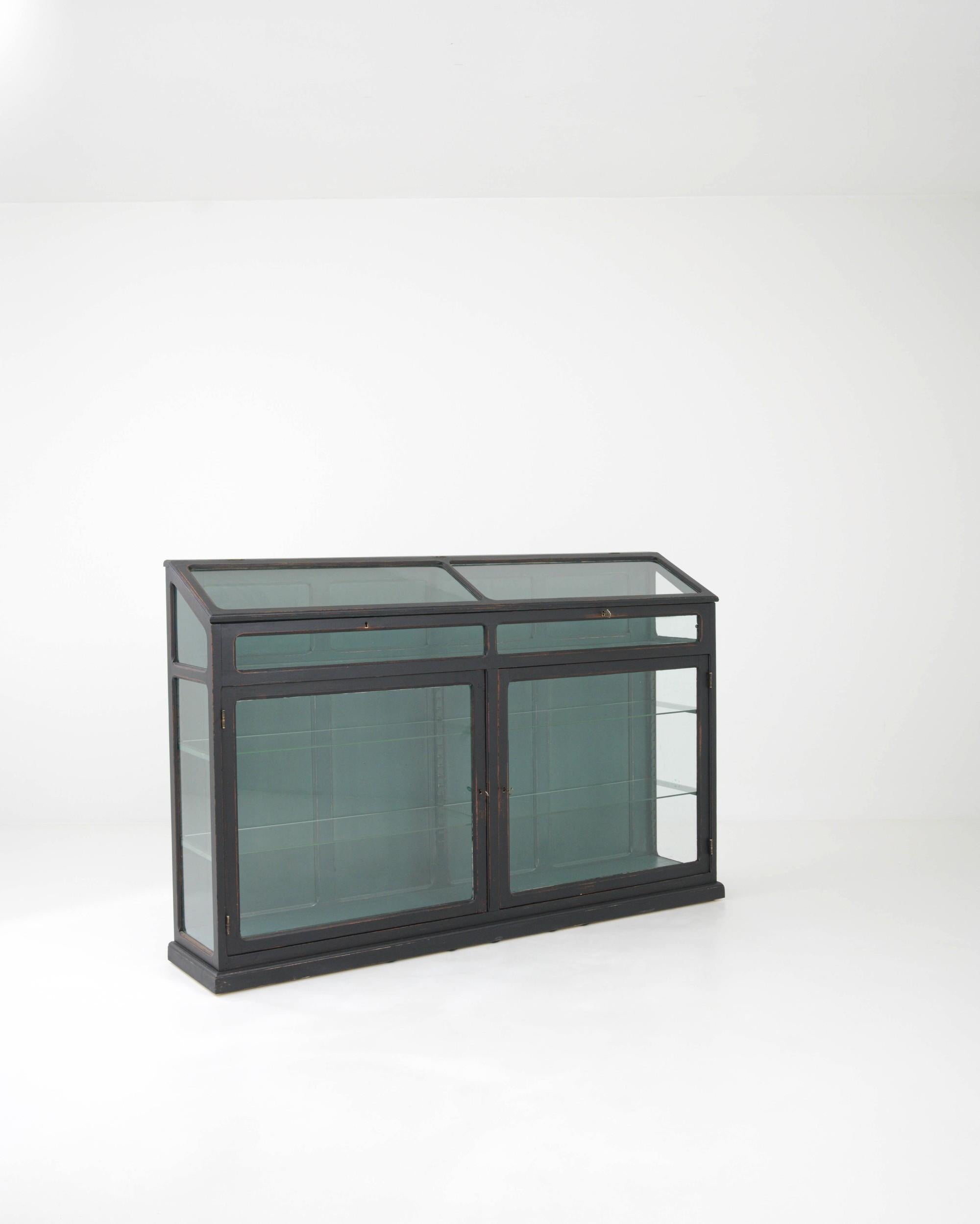 Glass 1920s French Black Patinated Wooden Vitrine