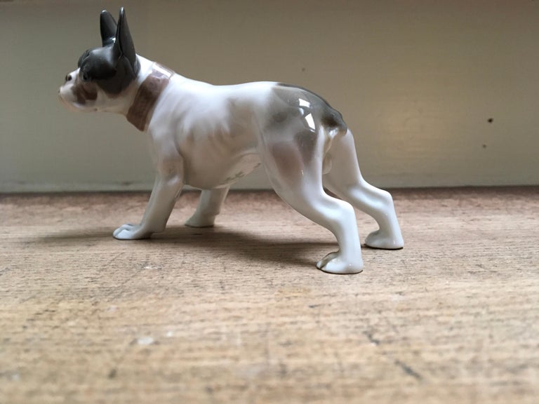 1920s French Bulldog Figurine by Rosenthal Selb Bavaria Germany, Art Deco For Sale 6