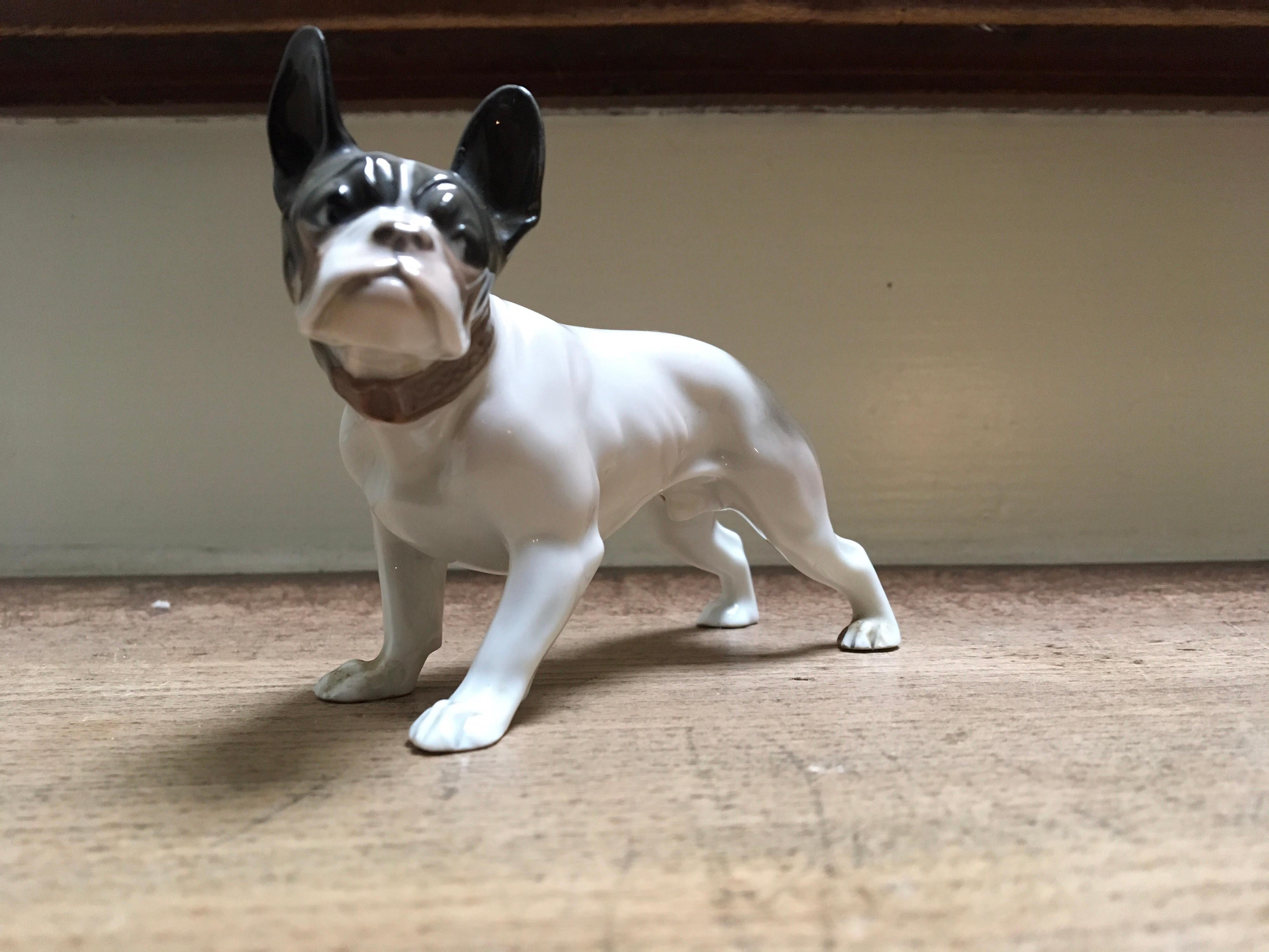 rosenthal porcelain english bulldog figurine. germany