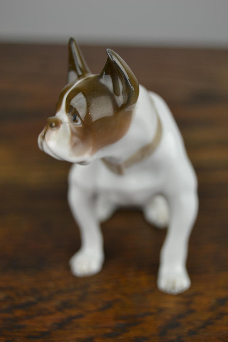 1920s French Bulldog Figurine Rosenthal Selb Bavaria Germany, Art Deco Porcelain For Sale 1