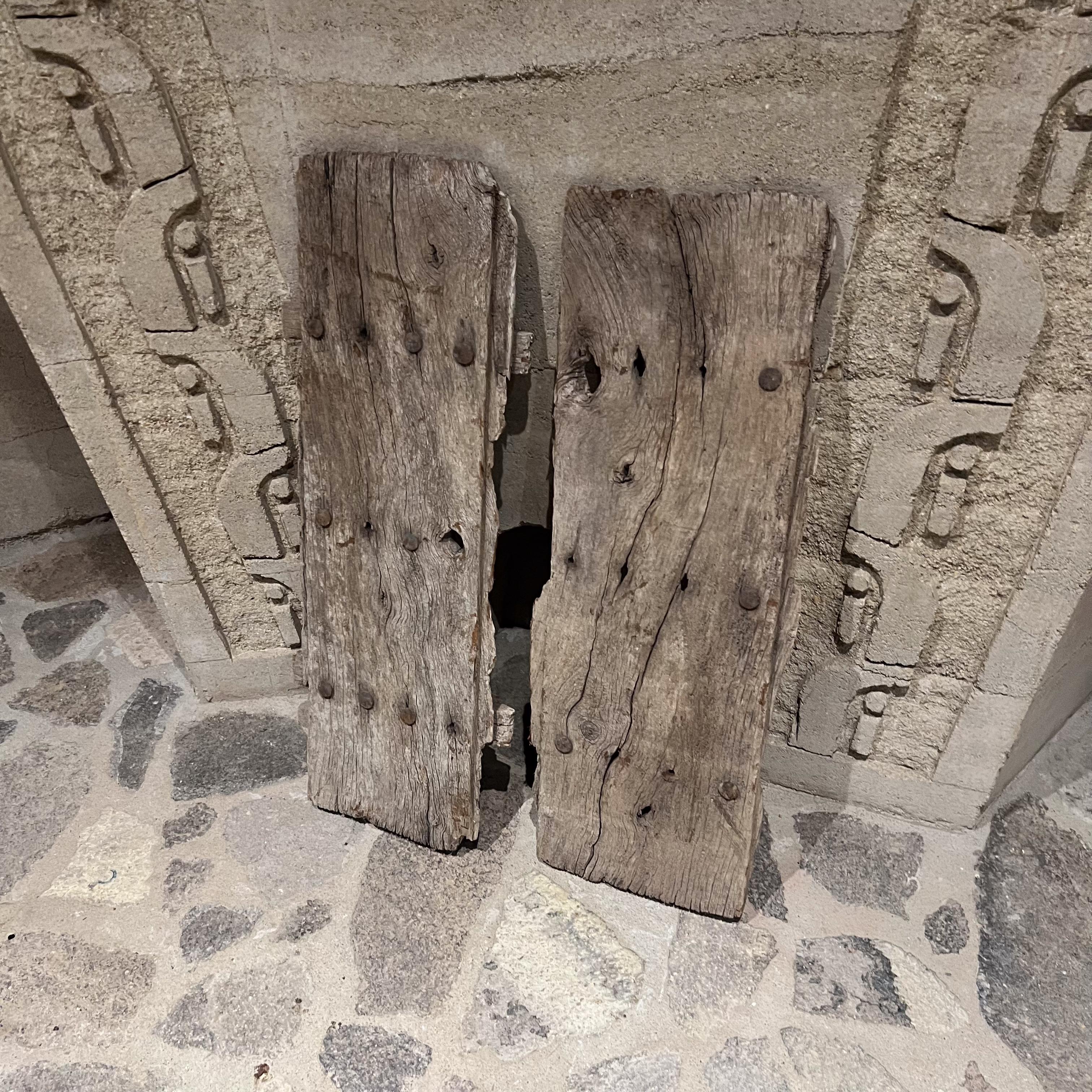 Porte con finestra del fienile in Mesquite rustico francese degli anni '20 in vendita 1