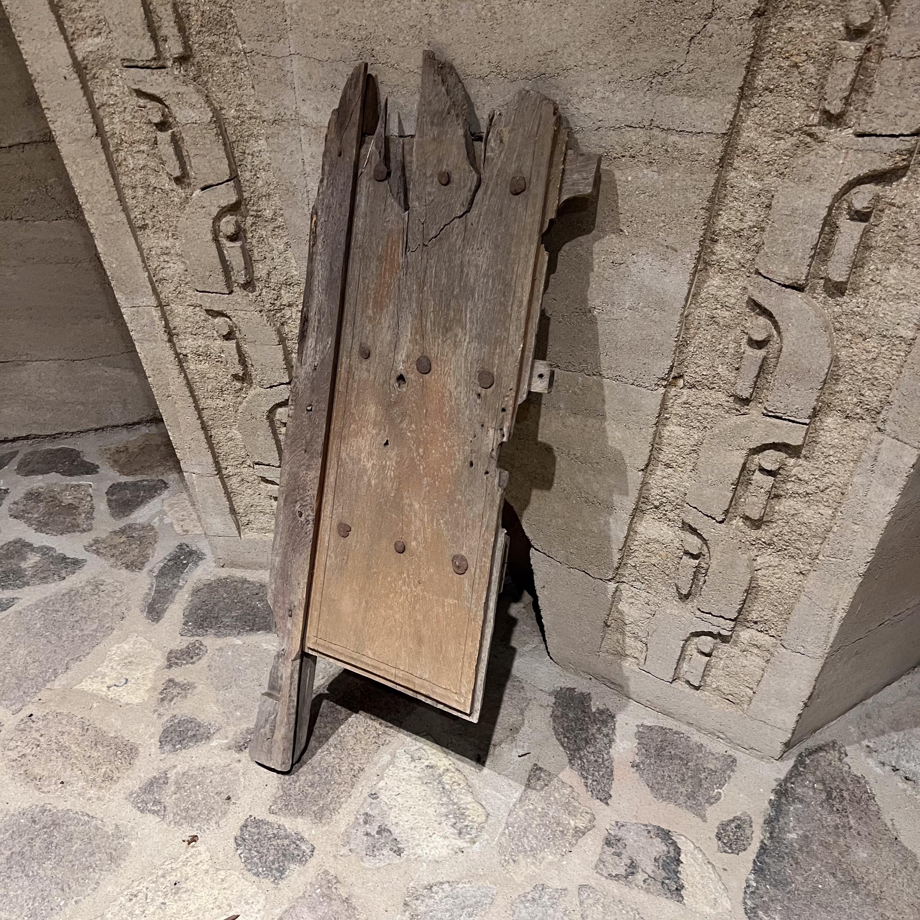 20th Century 1920s French Rustic Mesquite Partial Single Door Panel For Sale