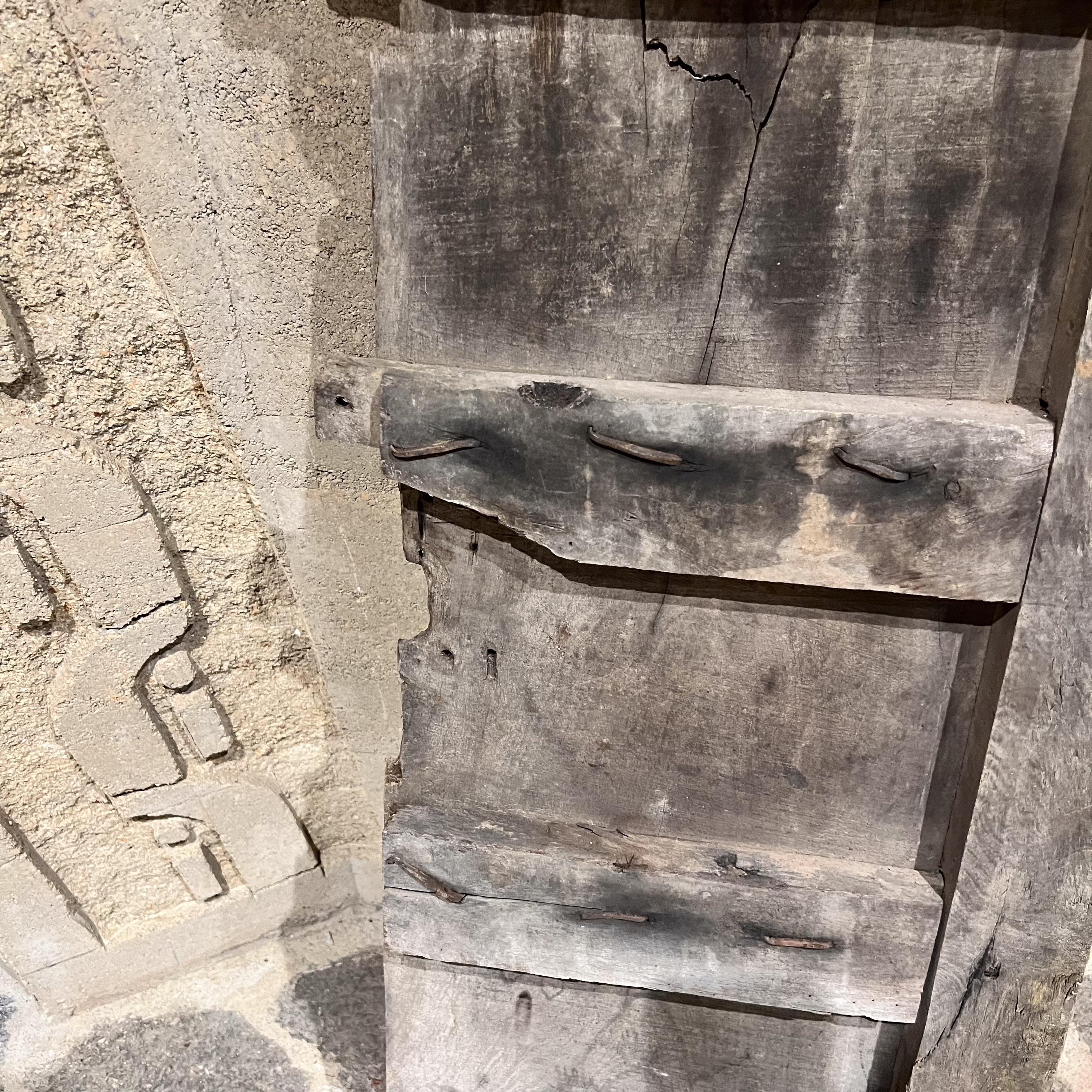 1920s French Rustic Mesquite Partial Single Door Panel For Sale 2