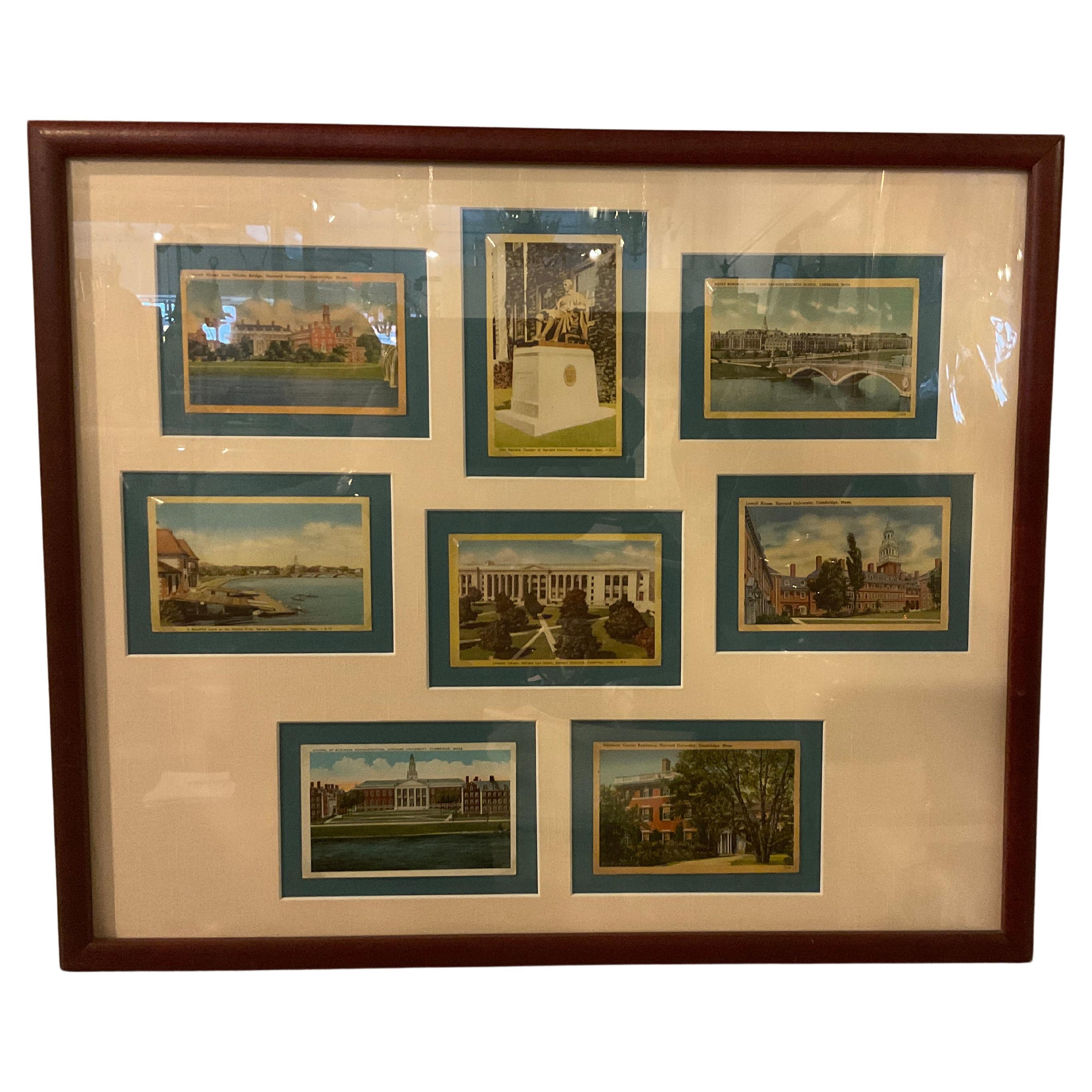8 1920s Harvard postcards framed.