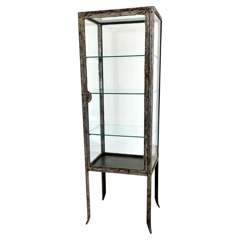 1920s Iron and Glass Vitrine For Sale at 1stDibs
