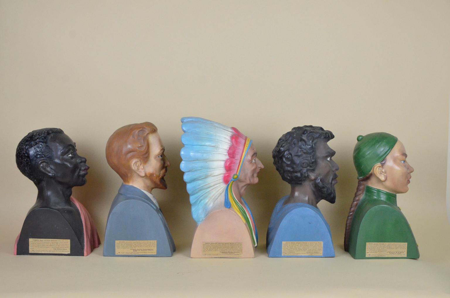 1920s Italian Vintage Set of Five Ethnographic Plaster Busts by Paravia, Turin For Sale 1