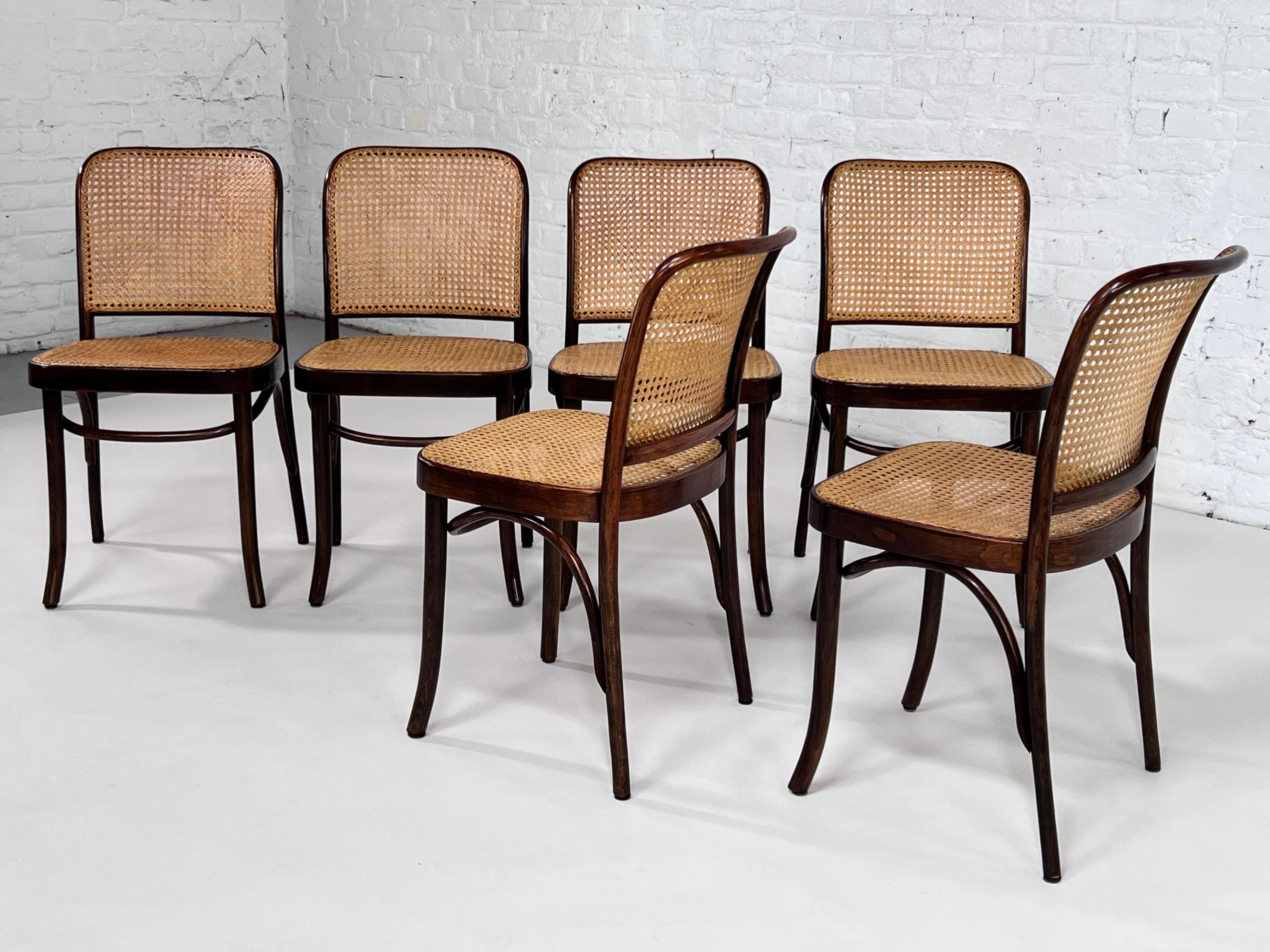 1920s Josef Hoffman design wood and cane set of 6 chairs Prague or 811 model for Thonet composed of a dark brown bentwood aerial structure and natural rattan wicker cane back and seat.