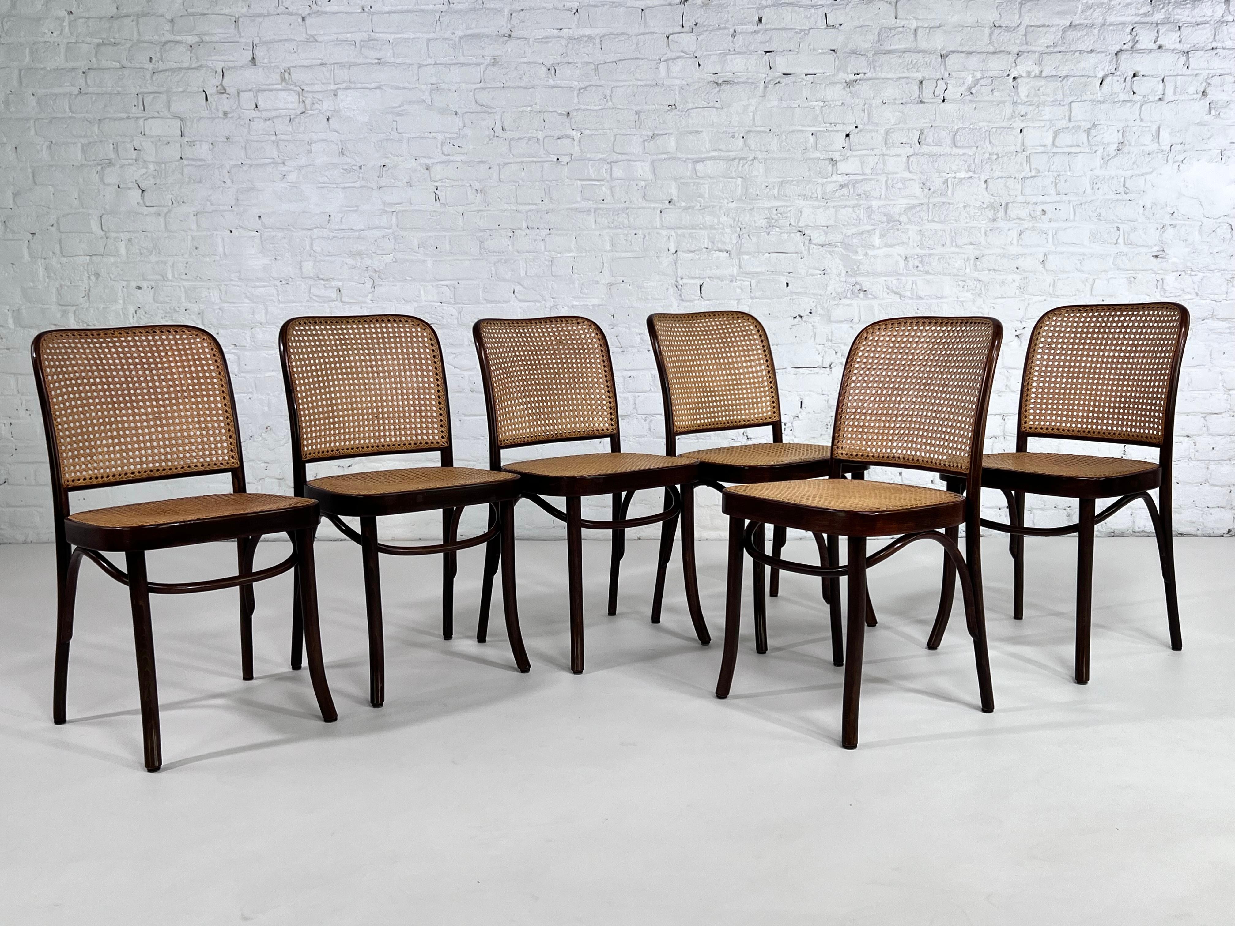 Mid-Century Modern 1920s Josef Hoffman Bentwood and Cane Set of 6 Chairs Prague Model for Thonet