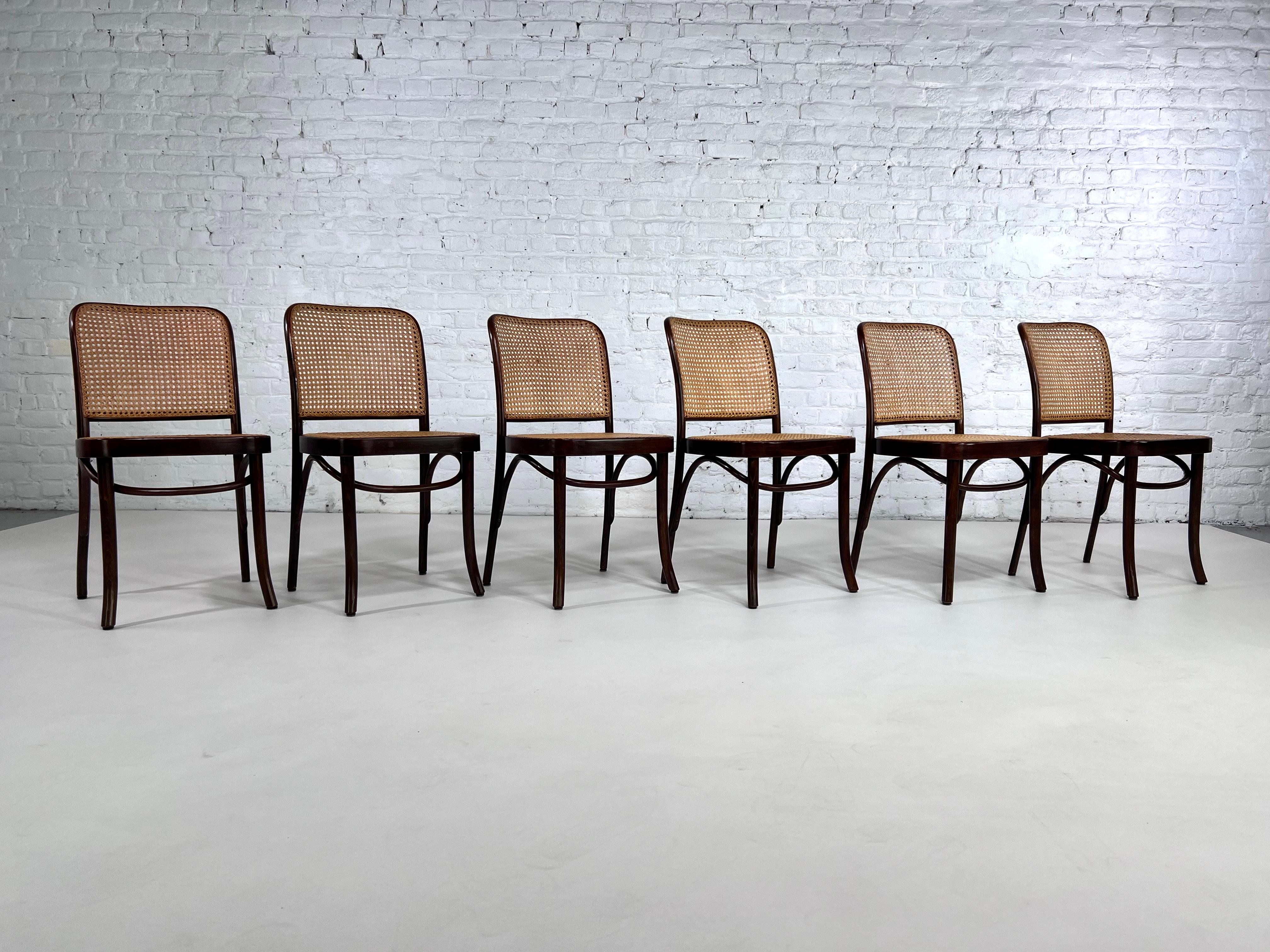European 1920s Josef Hoffman Bentwood and Cane Set of 6 Chairs Prague Model for Thonet