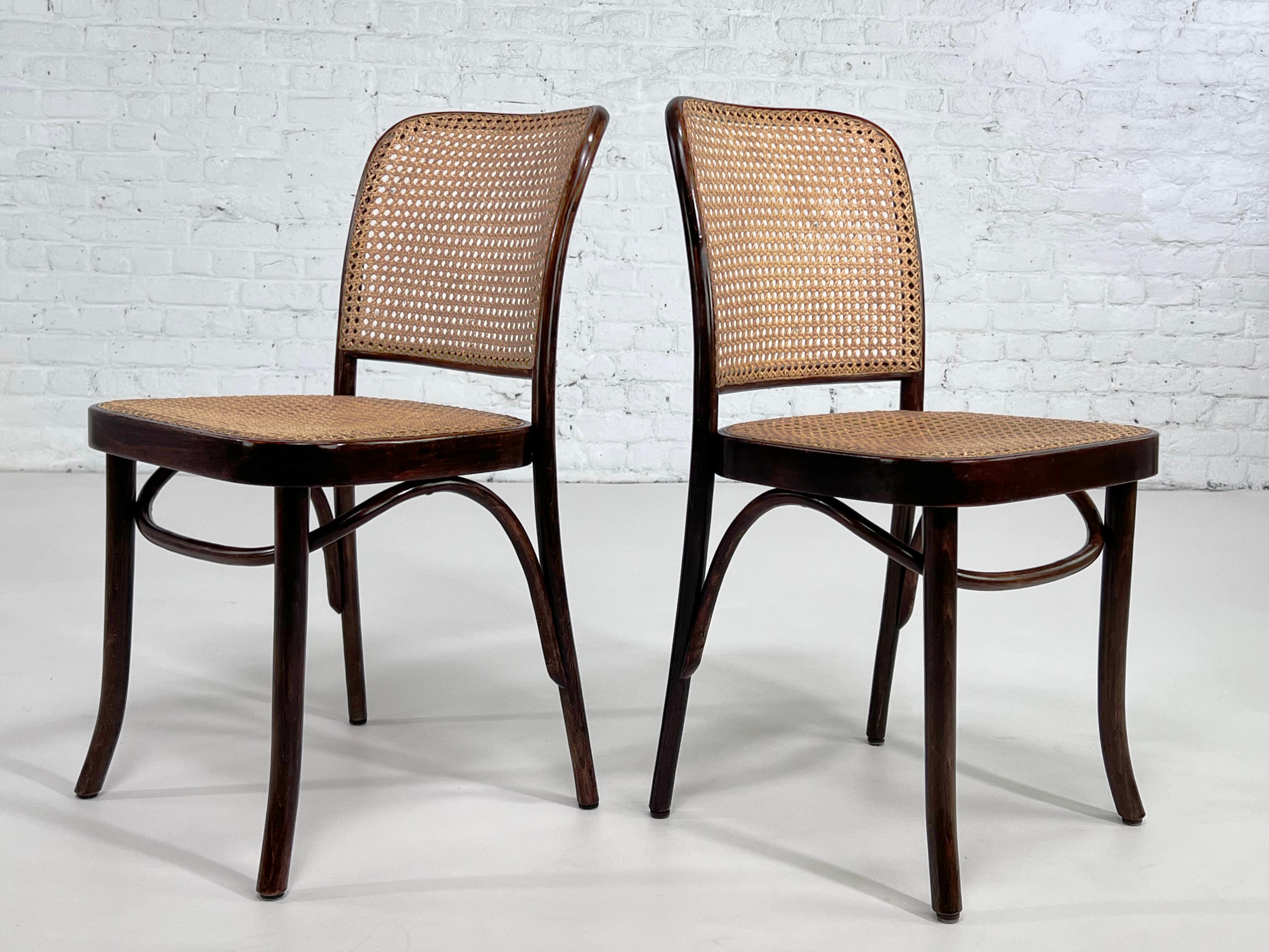 1920s Josef Hoffman Bentwood and Cane Set of 6 Chairs Prague Model for Thonet In Good Condition In Tourcoing, FR