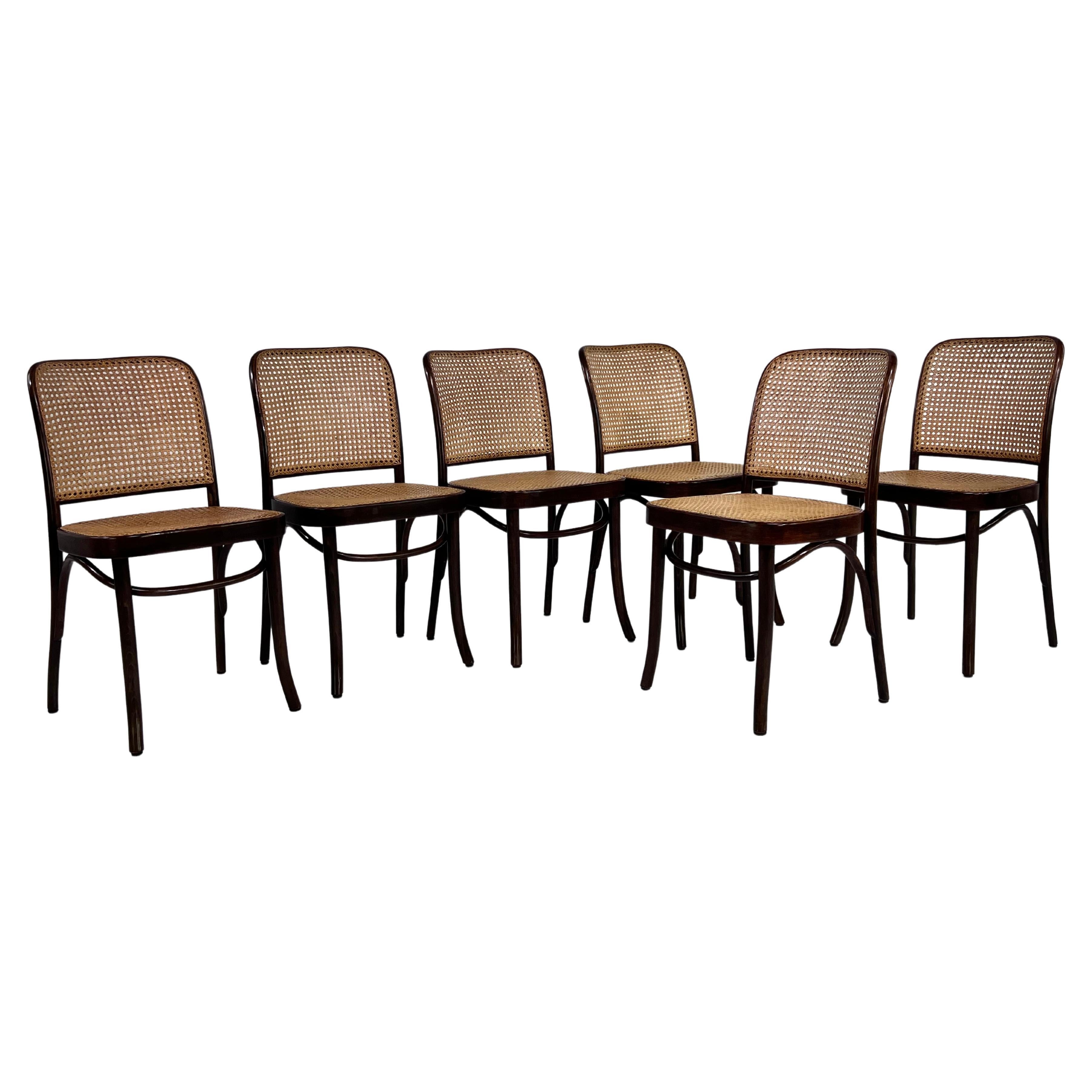 1920s Josef Hoffman Bentwood and Cane Set of 6 Chairs Prague Model for Thonet