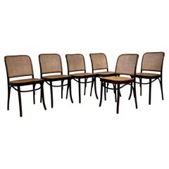 1920s Josef Hoffman Bentwood and Cane Set of 6 Chairs Prague Model for Thonet
