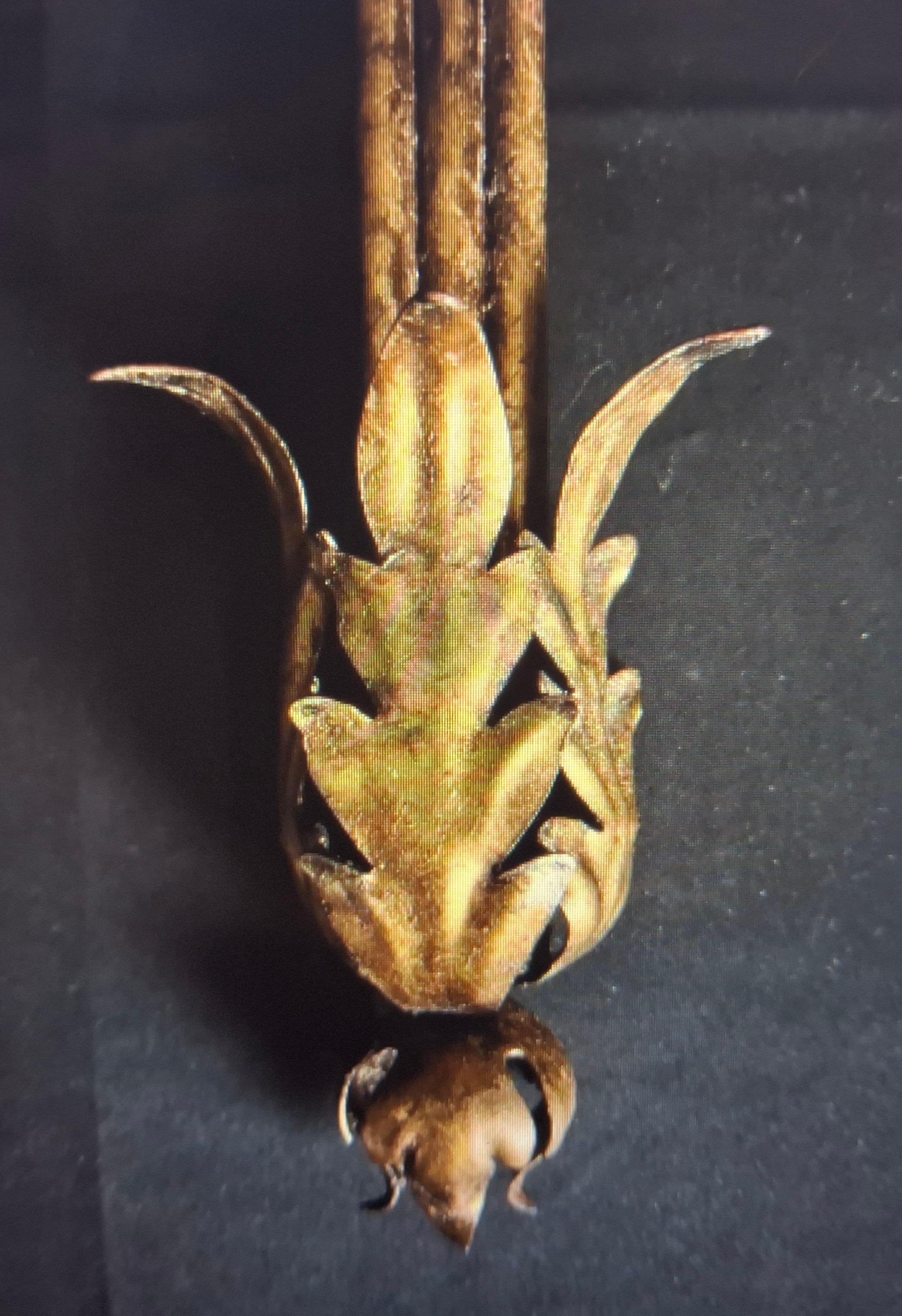 Aplique de Pared Monumental Hollywood Regency de Hierro Dorado/Lama de Topo de los Años 20 - Original en venta 2