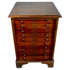 1920s Multi-Drawer Mahogany Specimen Cabinet