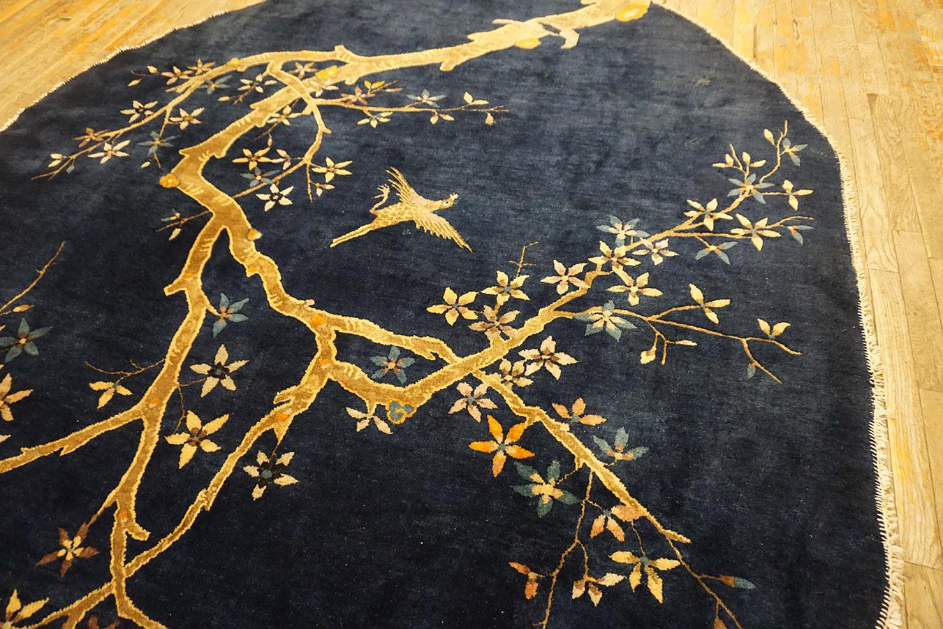 Wool 1920s Oval Chinese Peking Carpet ( 7'8