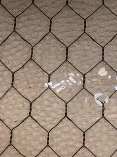 1920s 'Pebbled' Vintage Chicken Wire Glass Custom Order James 2