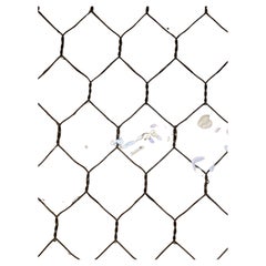 Printed Chicken Wire Glass