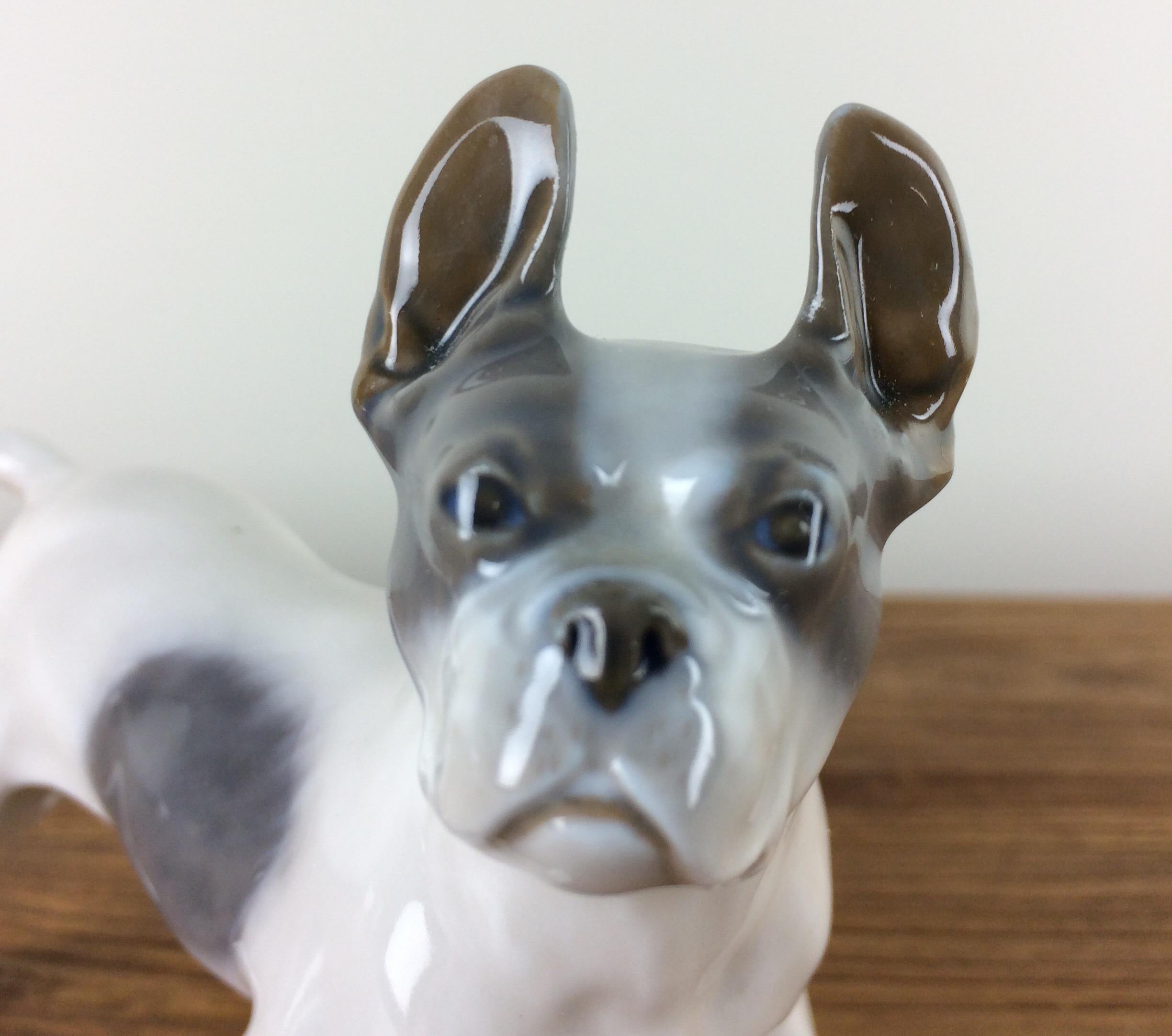 Royal Copenhagen porcelain bulldog from the Early 20th Century.
A male French Bulldog - Male Frenchie - Male Boston Terrier Dog. 
The Porcelain Dog has the Royal Copenhagen Crown and Denmark stamped in green with blue wave mark with the number 1457.