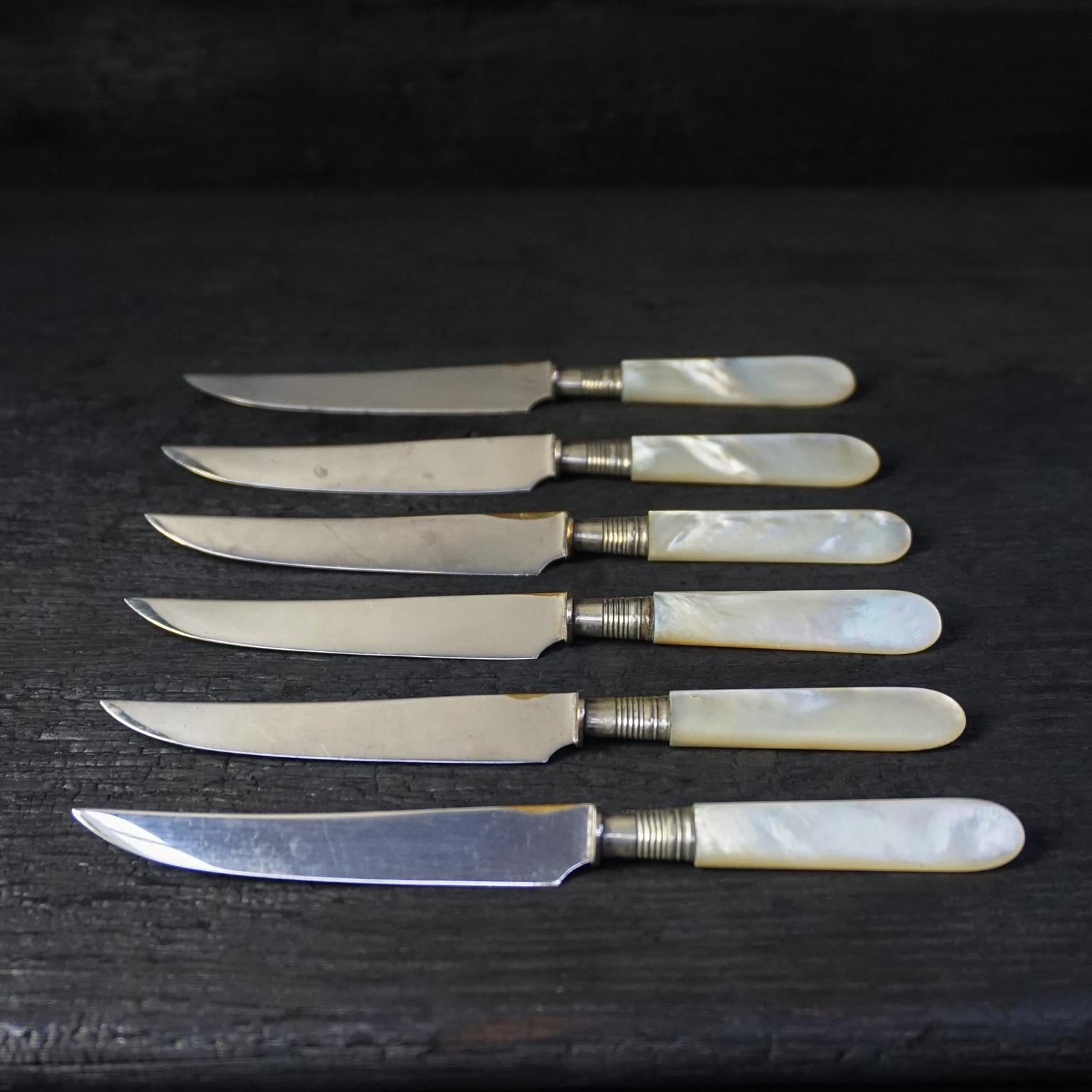 1920s Set of Six Fruit Knives in a Large Polished 'Turbo Marmoratus' Seashell In Good Condition For Sale In Haarlem, NL