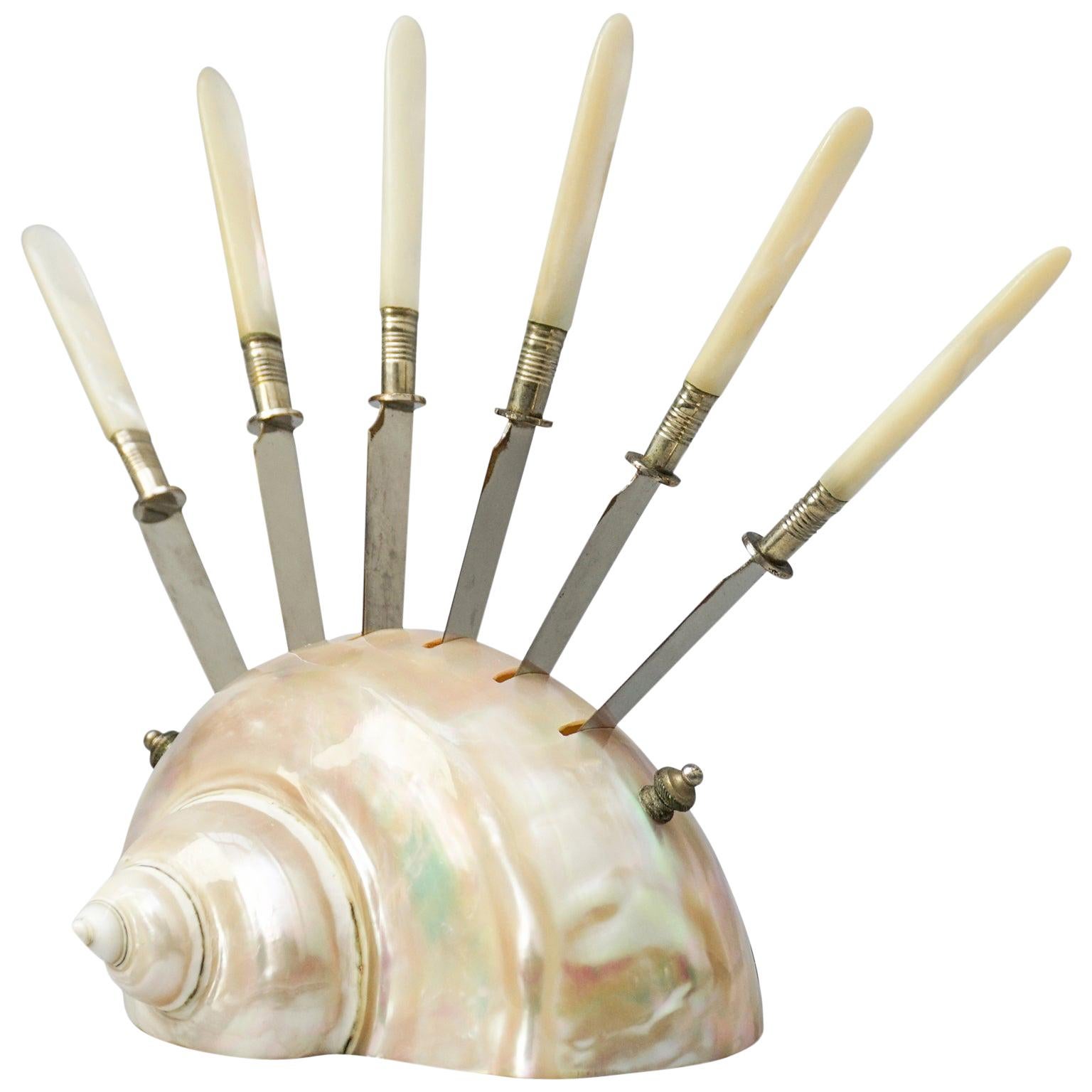 1920s Set of Six Fruit Knives in a Large Polished 'Turbo Marmoratus' Seashell For Sale