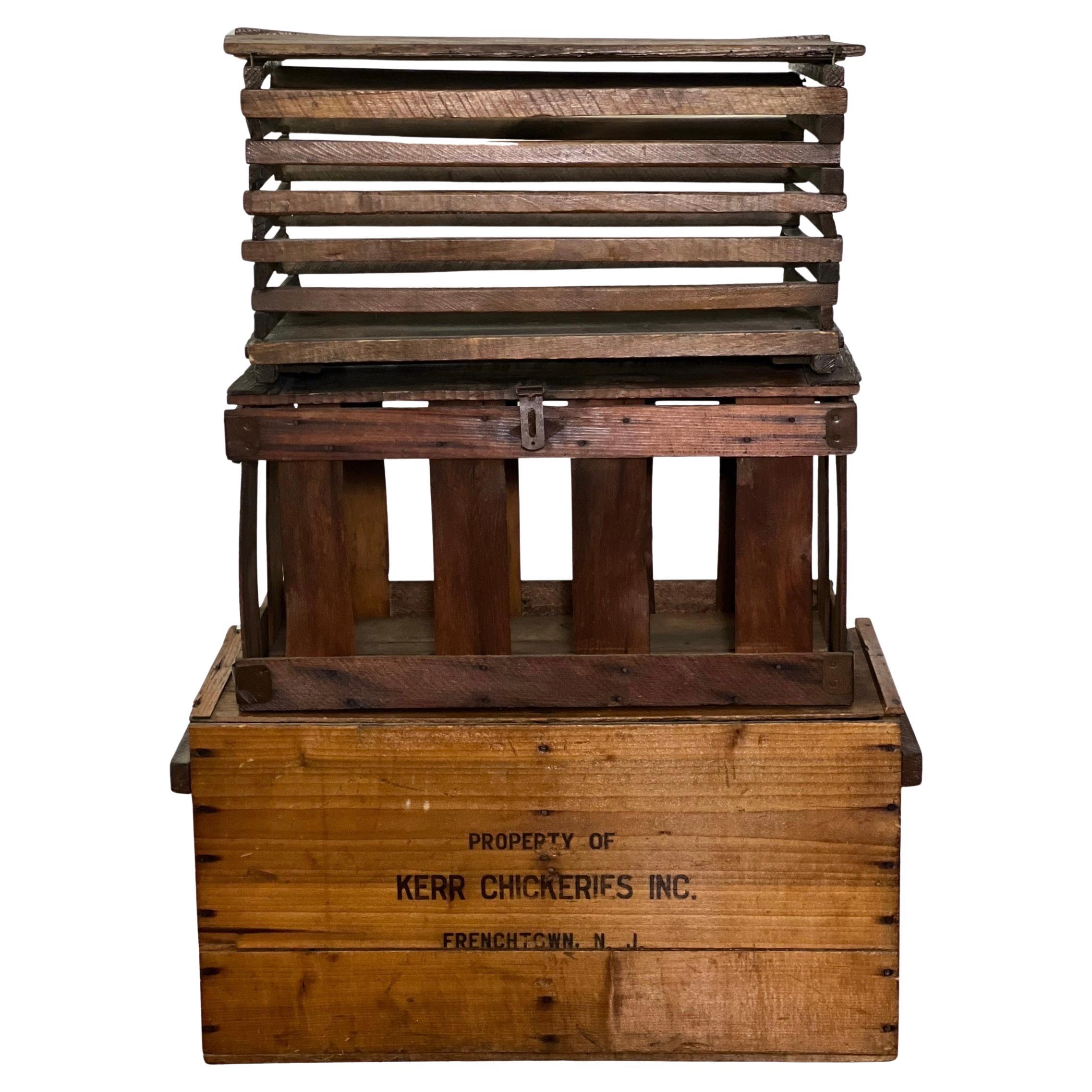 Conjunto de tres cajas de criadero de pollos Kerr de los años 20 en venta