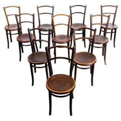 1920's Simple Elegant Bentwood Dining Chairs - Mundus - Set Of Ten
