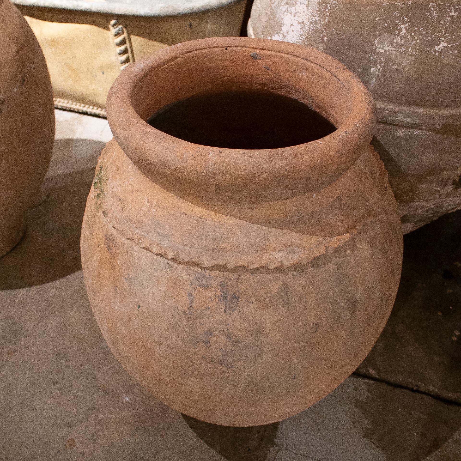 olla pirula