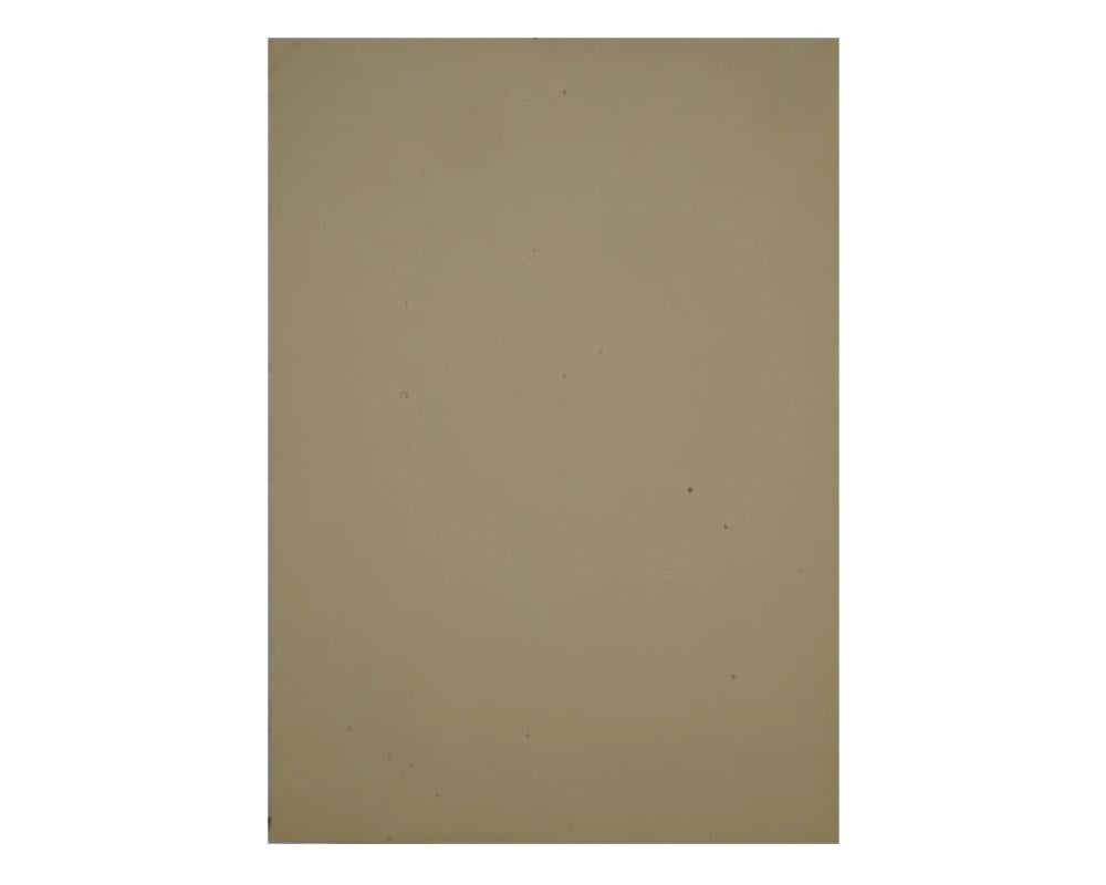1921 Retrato fotográfico Ferdinand Foch Por Frank Moore Papel en venta