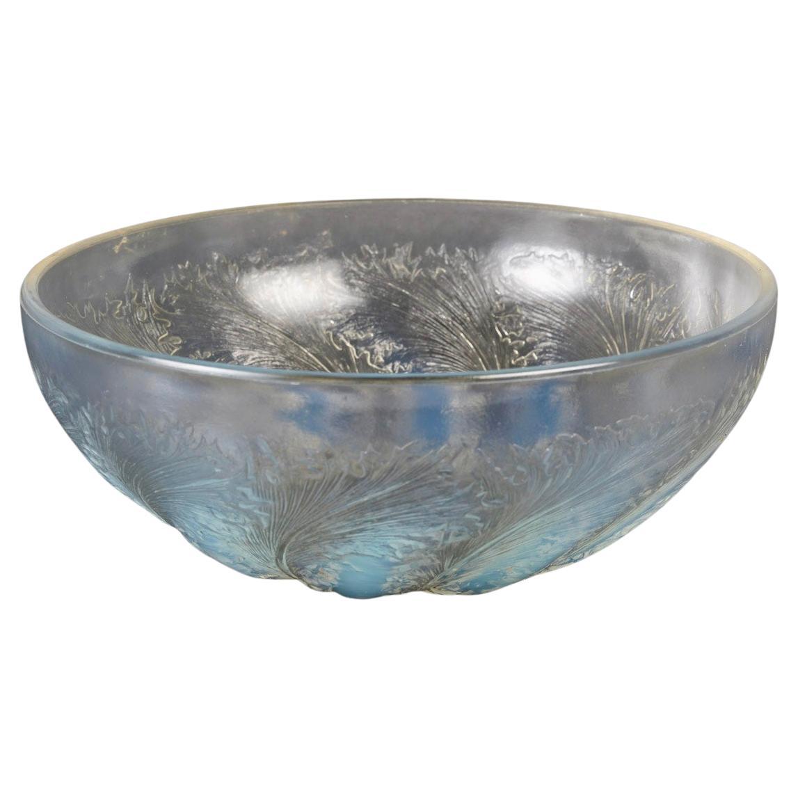 1921 René Lalique - Schale Chicoree Chicorée Opaleszierendes Glas