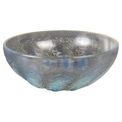 1921 René Lalique - Bowl Chicoree Chicory Opalescent Glass