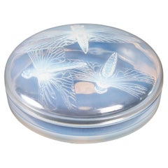 1921 René Lalique Box Jar Libellules Opalescent, Dragonflies