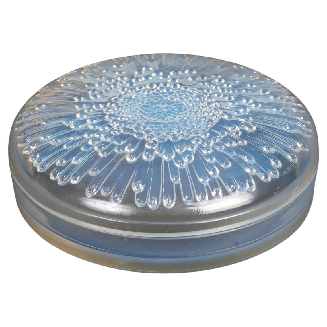 1921 Rene Lalique Box Tokio Tokyo Opalescent Glass Chrysanthemum Flower For Sale