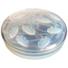 1921 René Lalique Cleones Opalescent Box Jar, Beetles