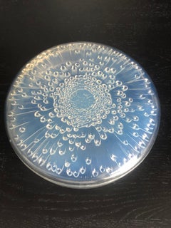 1921 Rene Lalique Tokyo Opalescent Box Jar, Chrysanthemum Flower